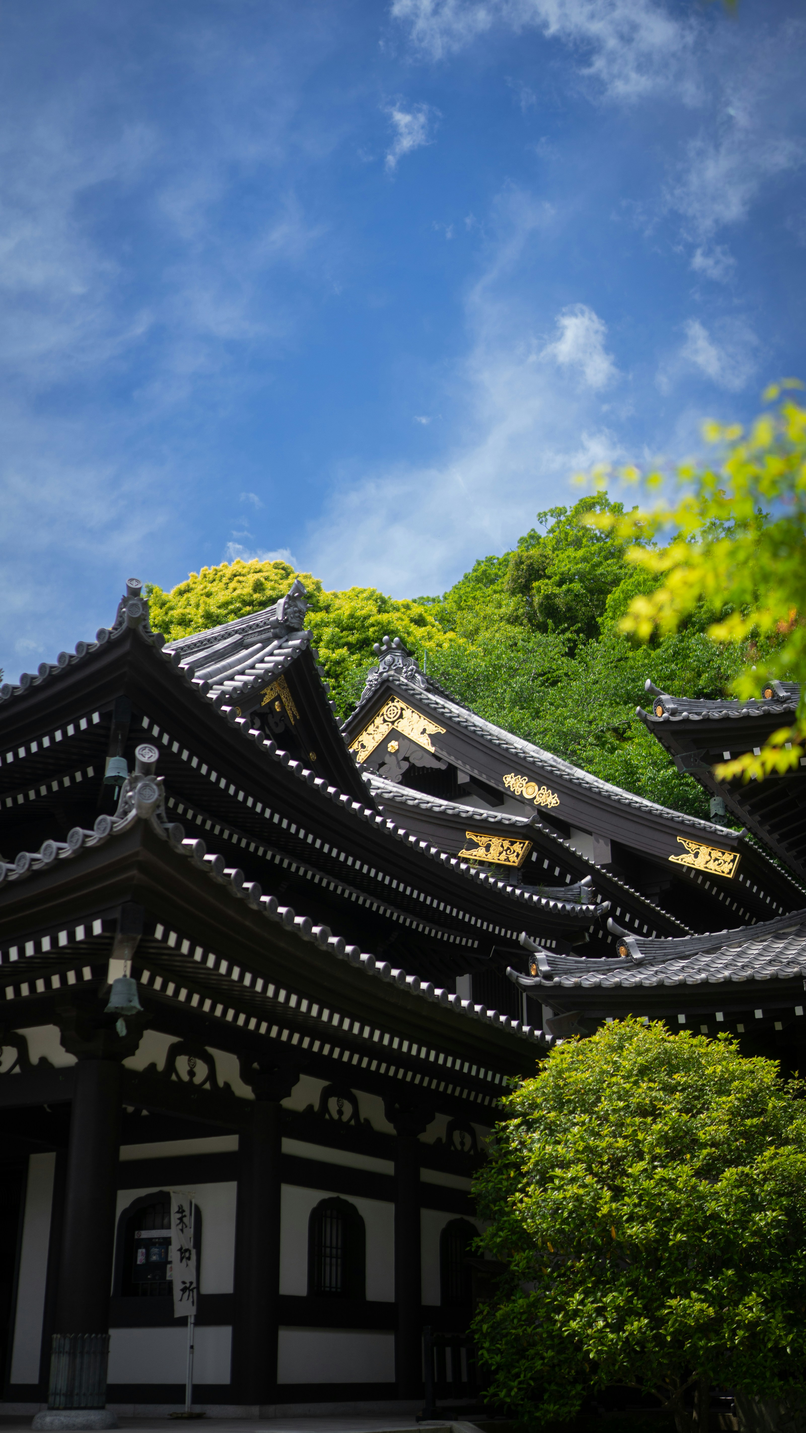 Photo by eliastookit