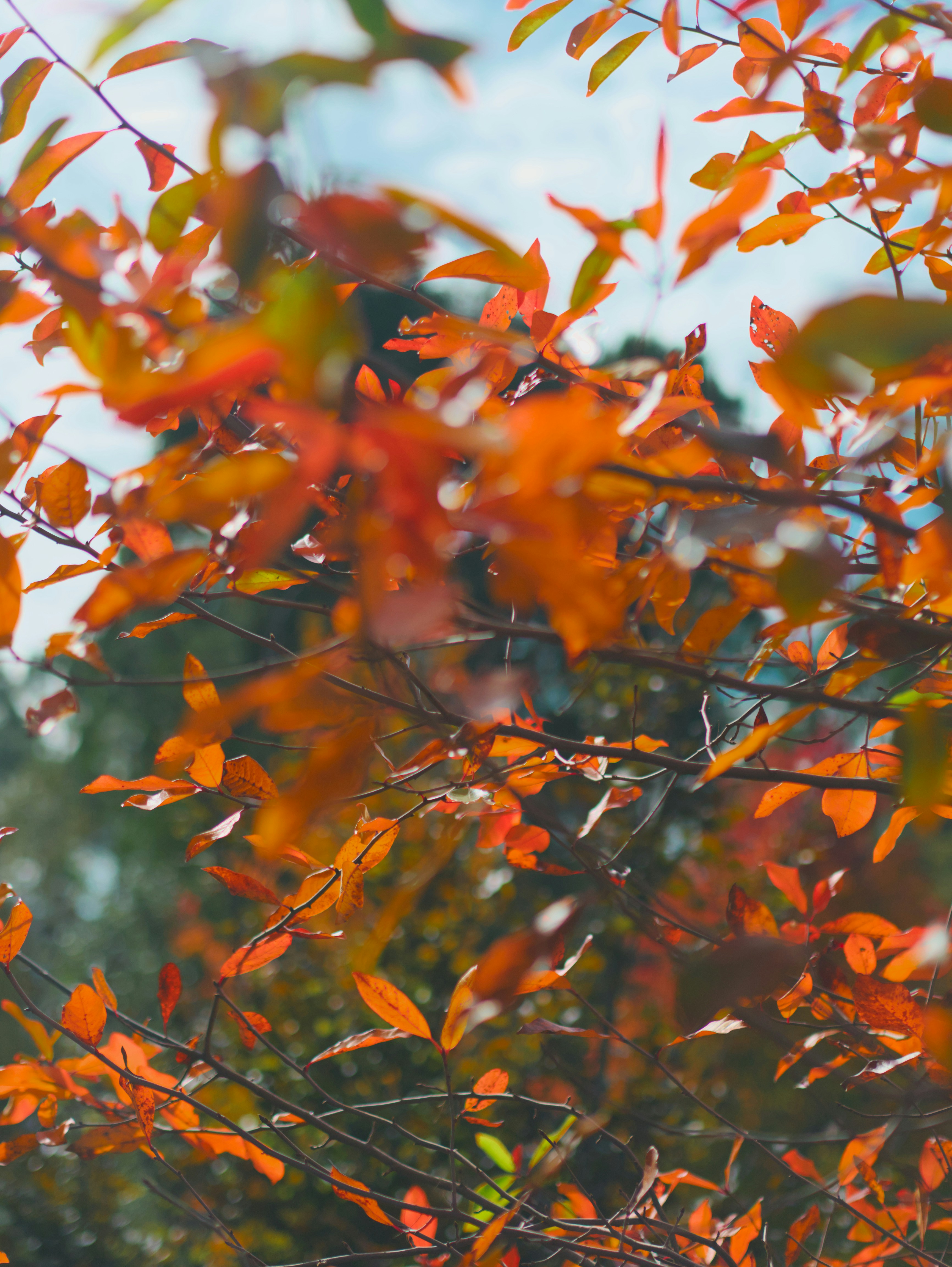 Photo by speeddragon35