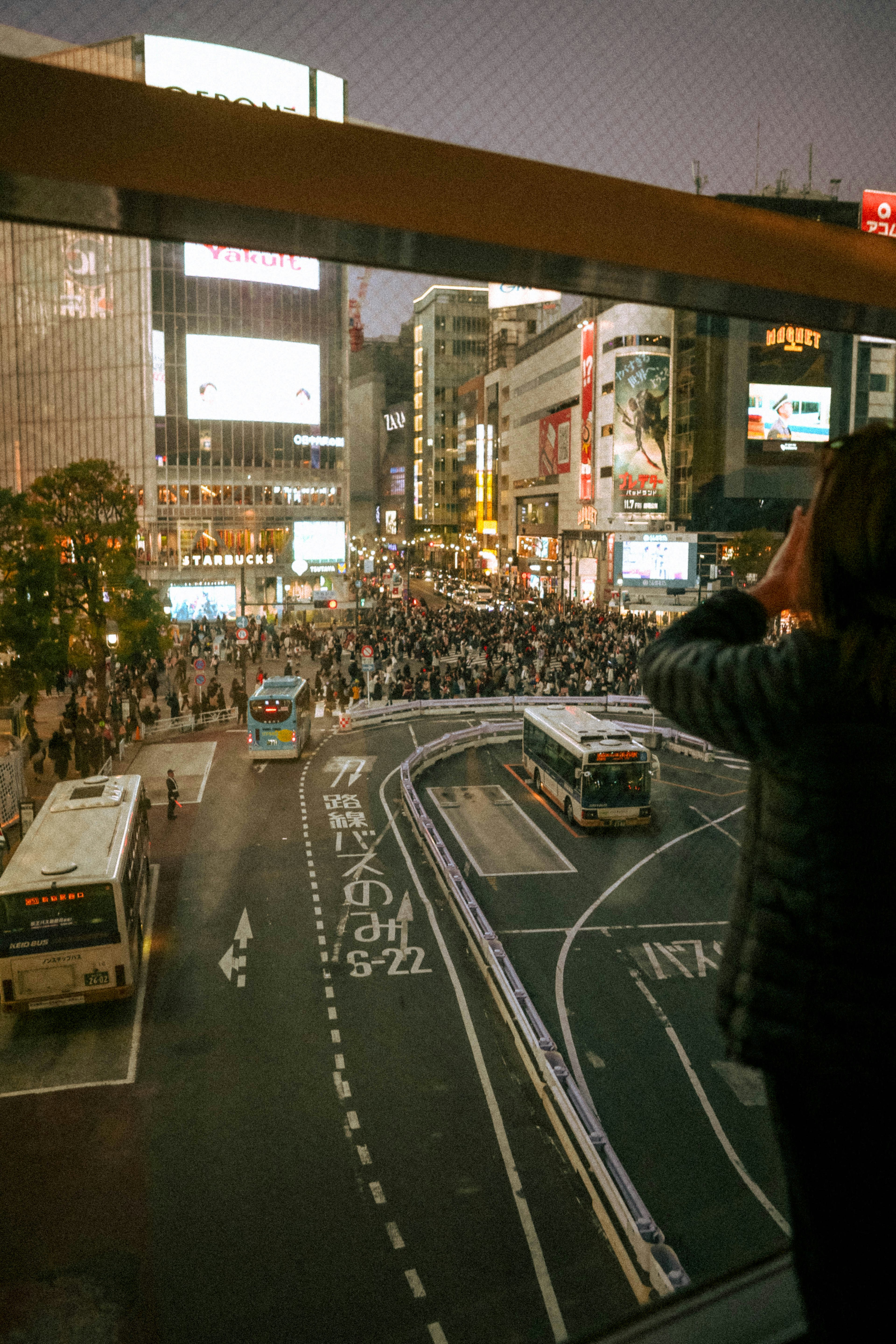 Windows 11 desktop interface showing update notification