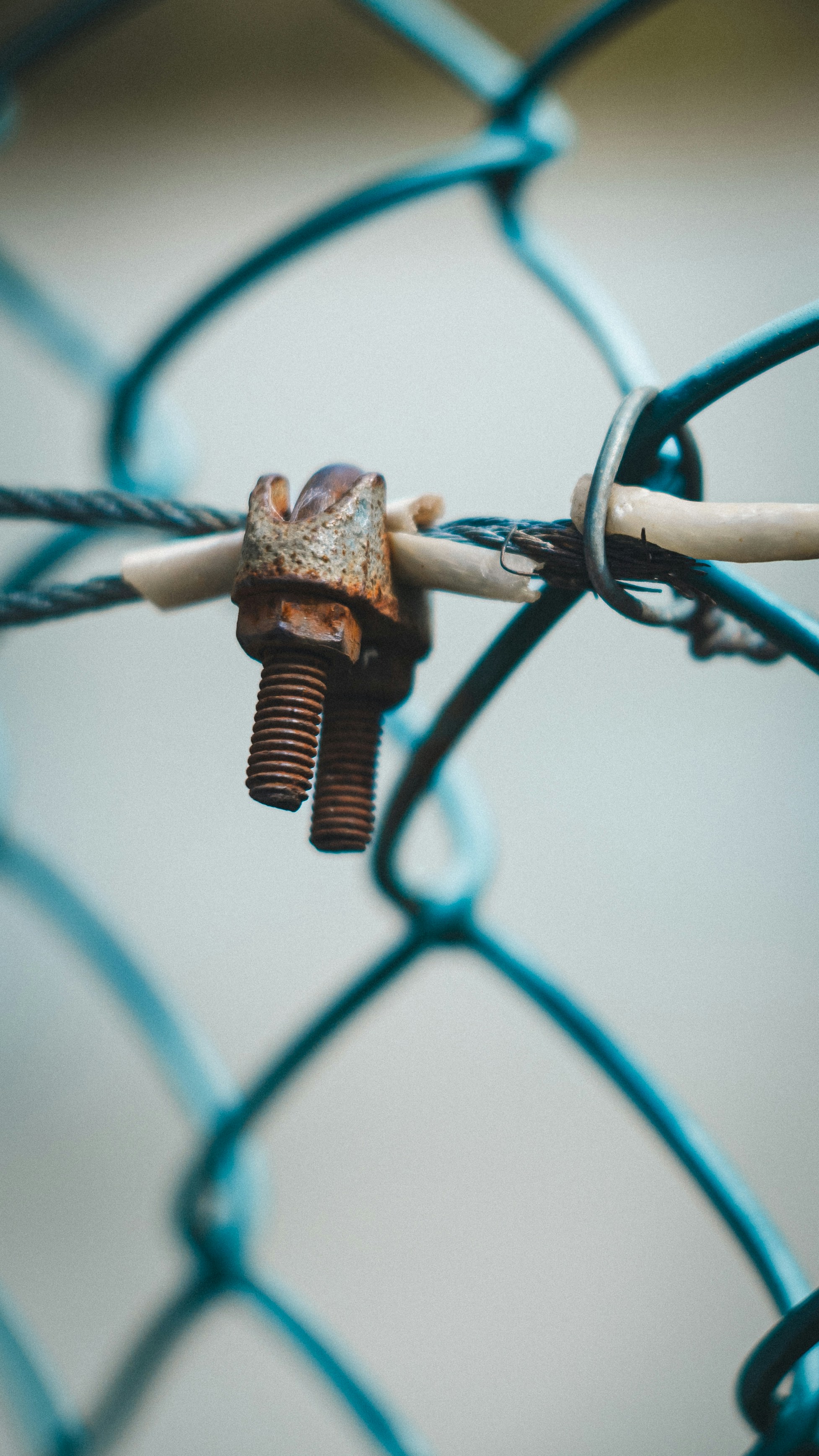 Close-up of a rusty clamp on a blue chain-link fence