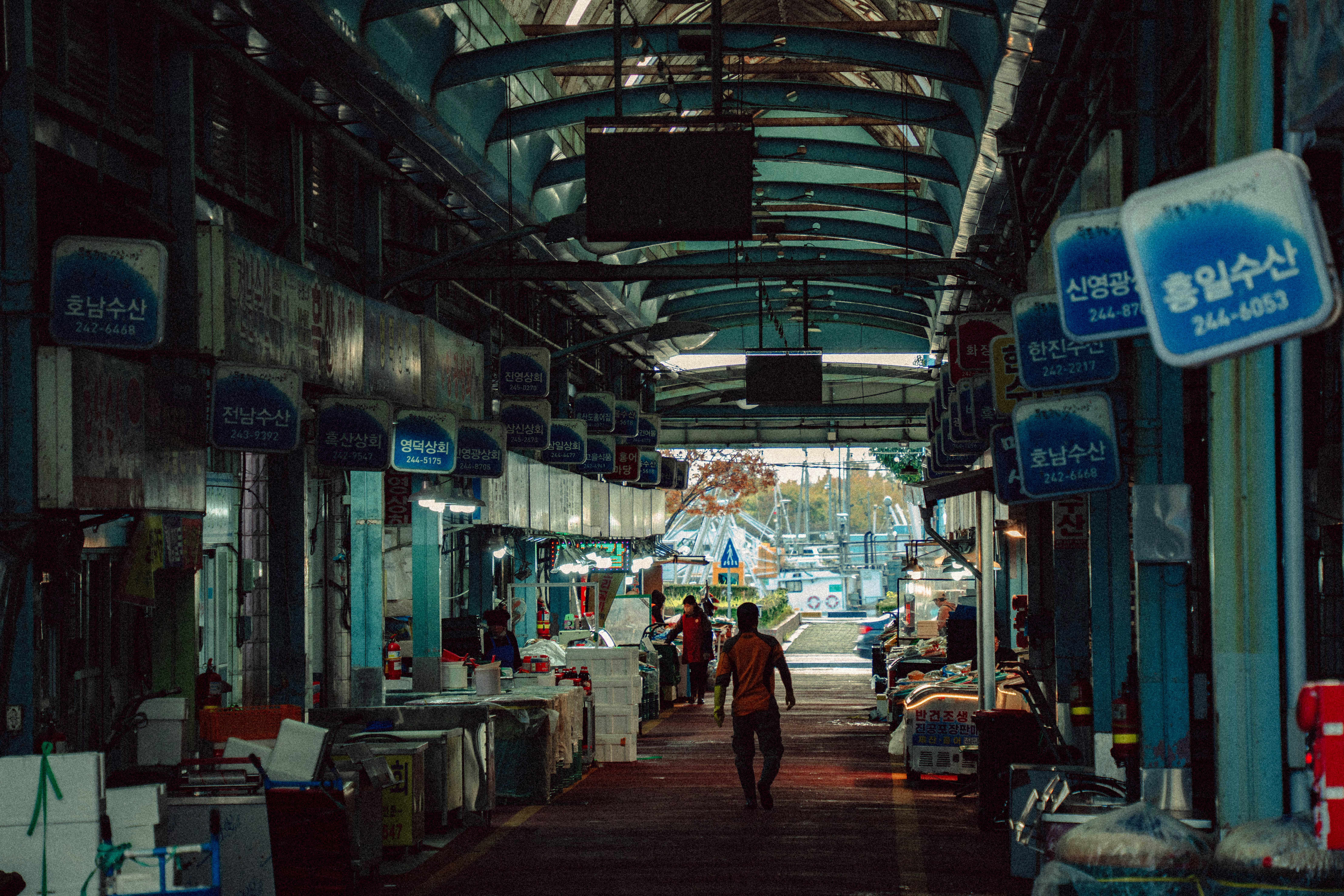 Fish markets of Mokpo