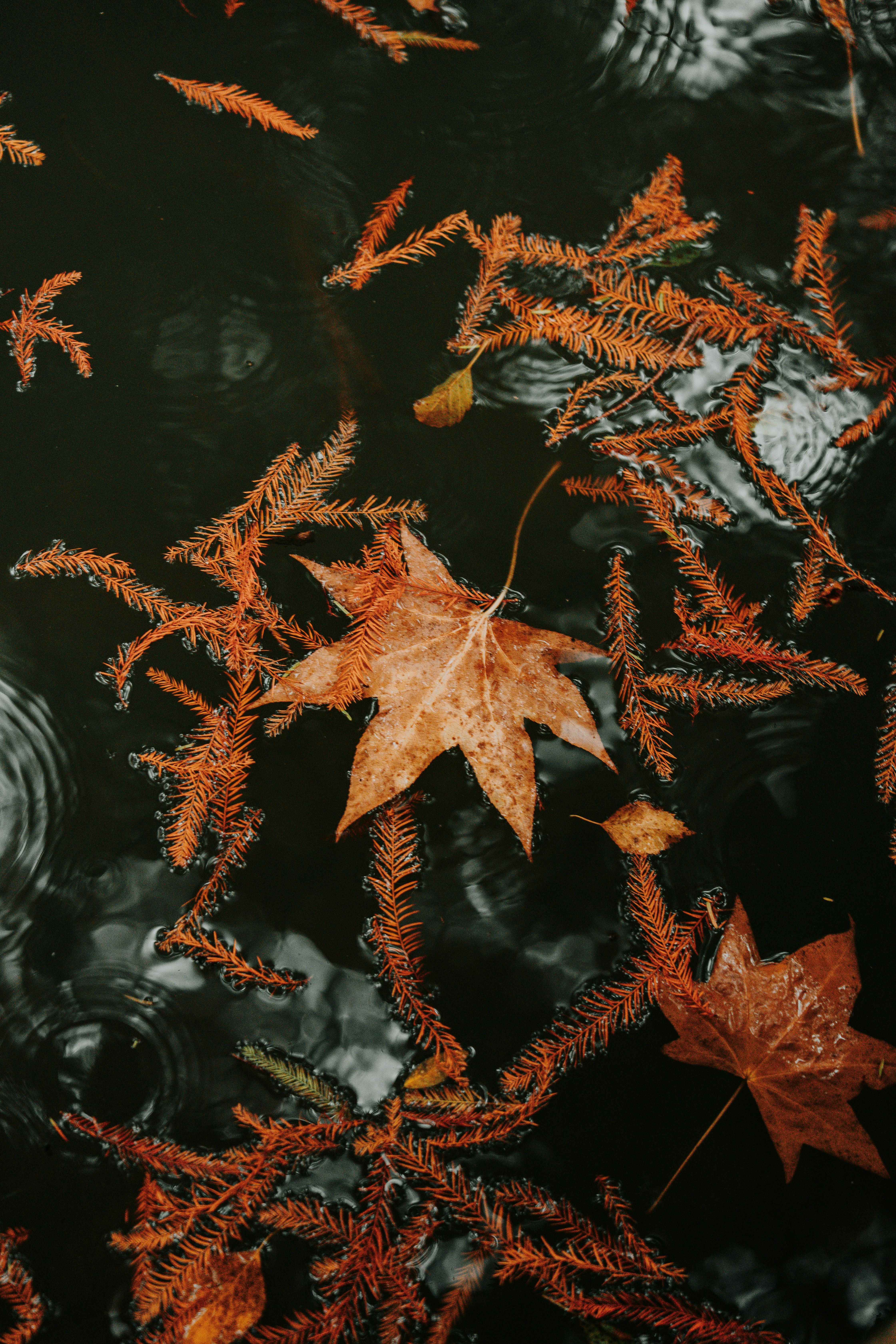 Photo by ahadkhan924