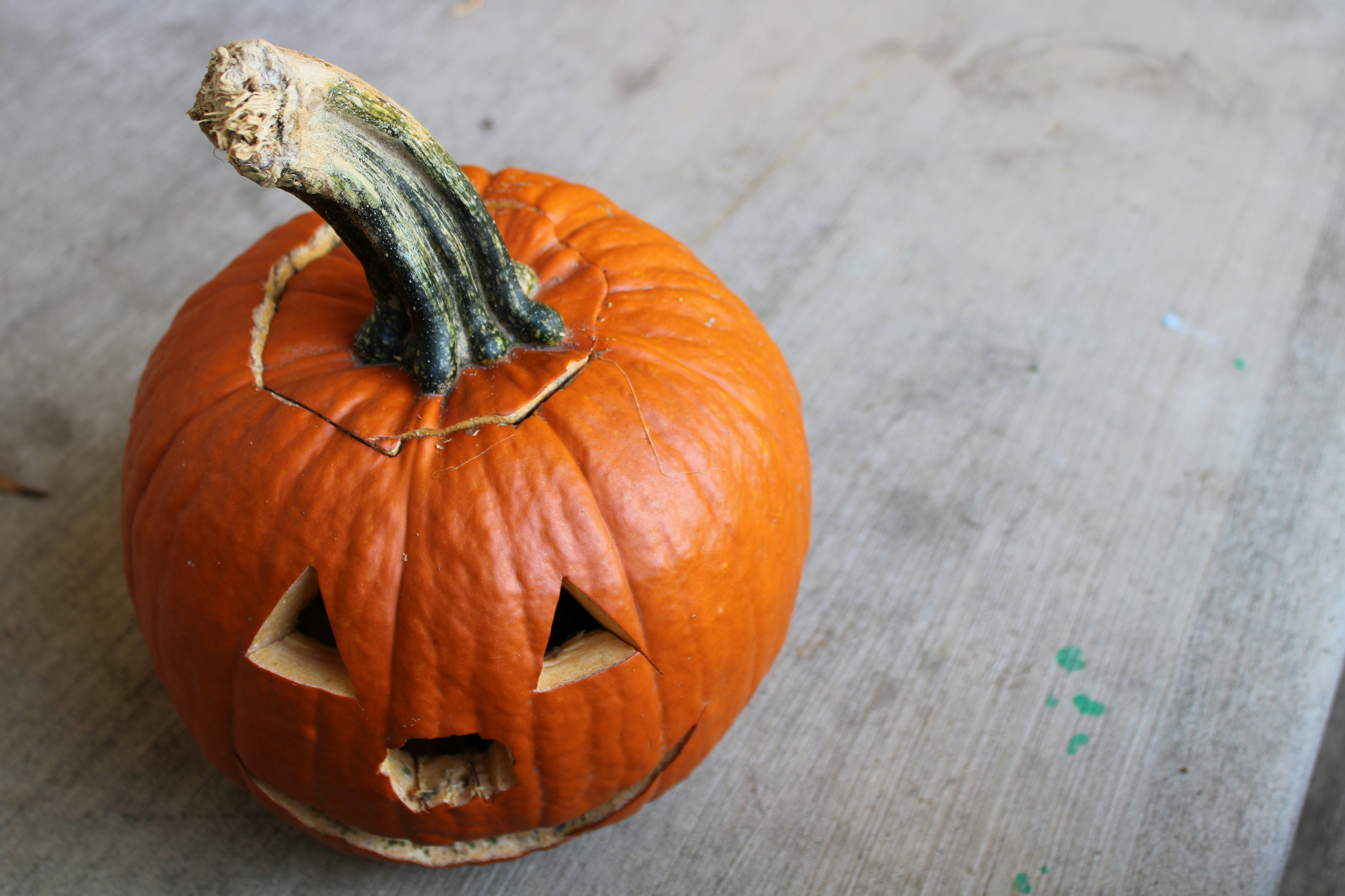 Photo by atlas_crabulous