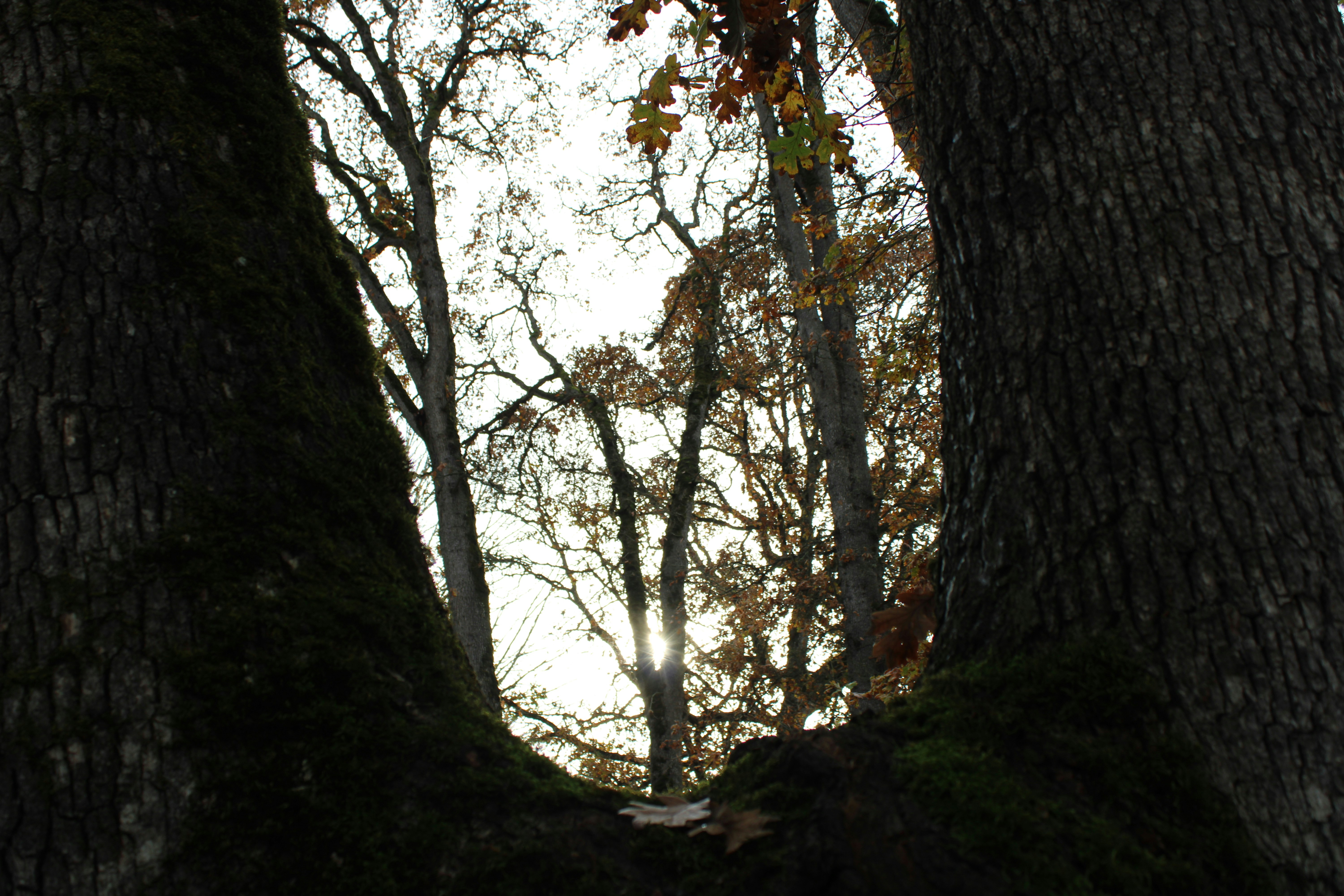 Photo by atlas_crabulous