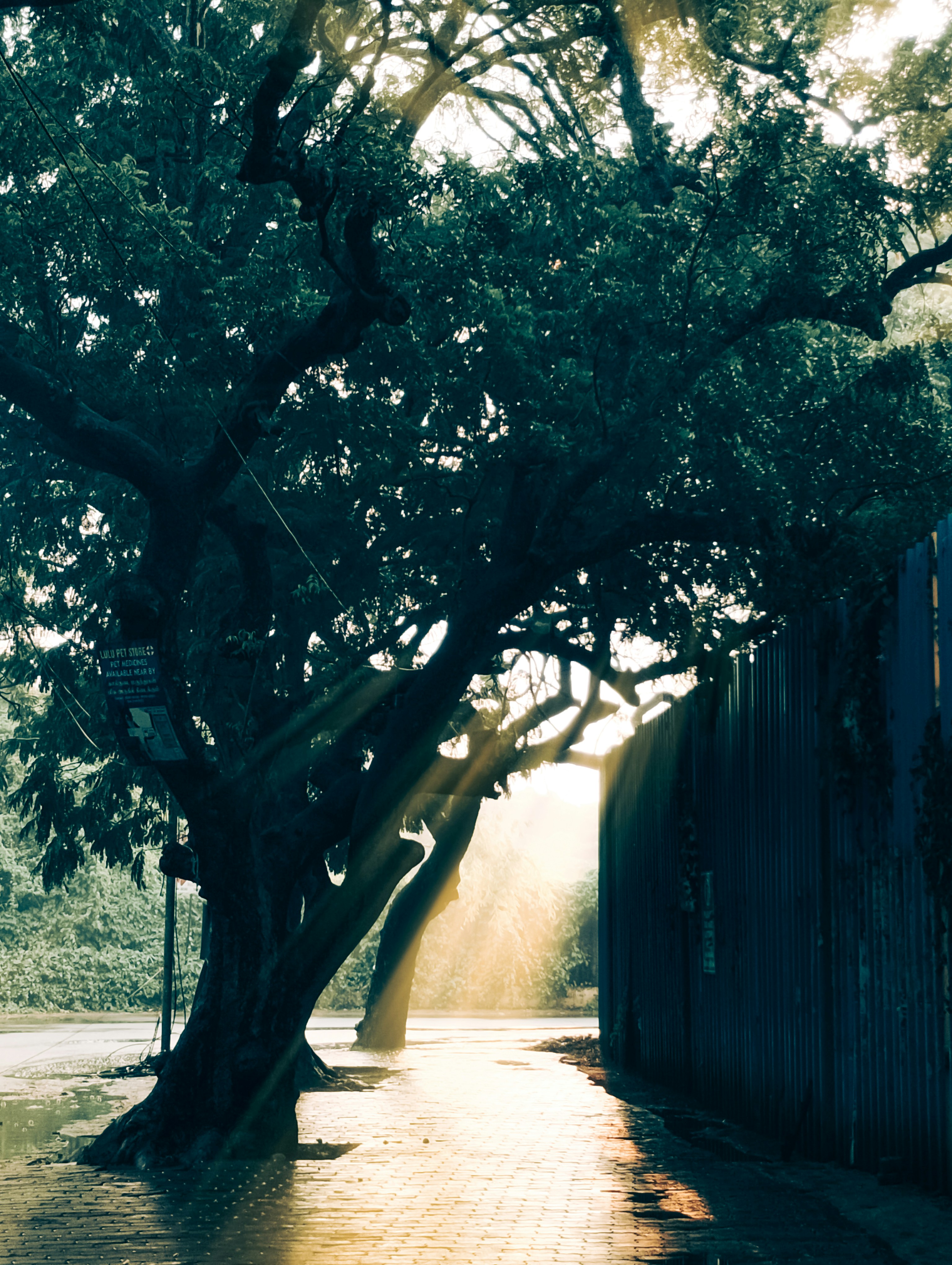 Photo by dreamora96x