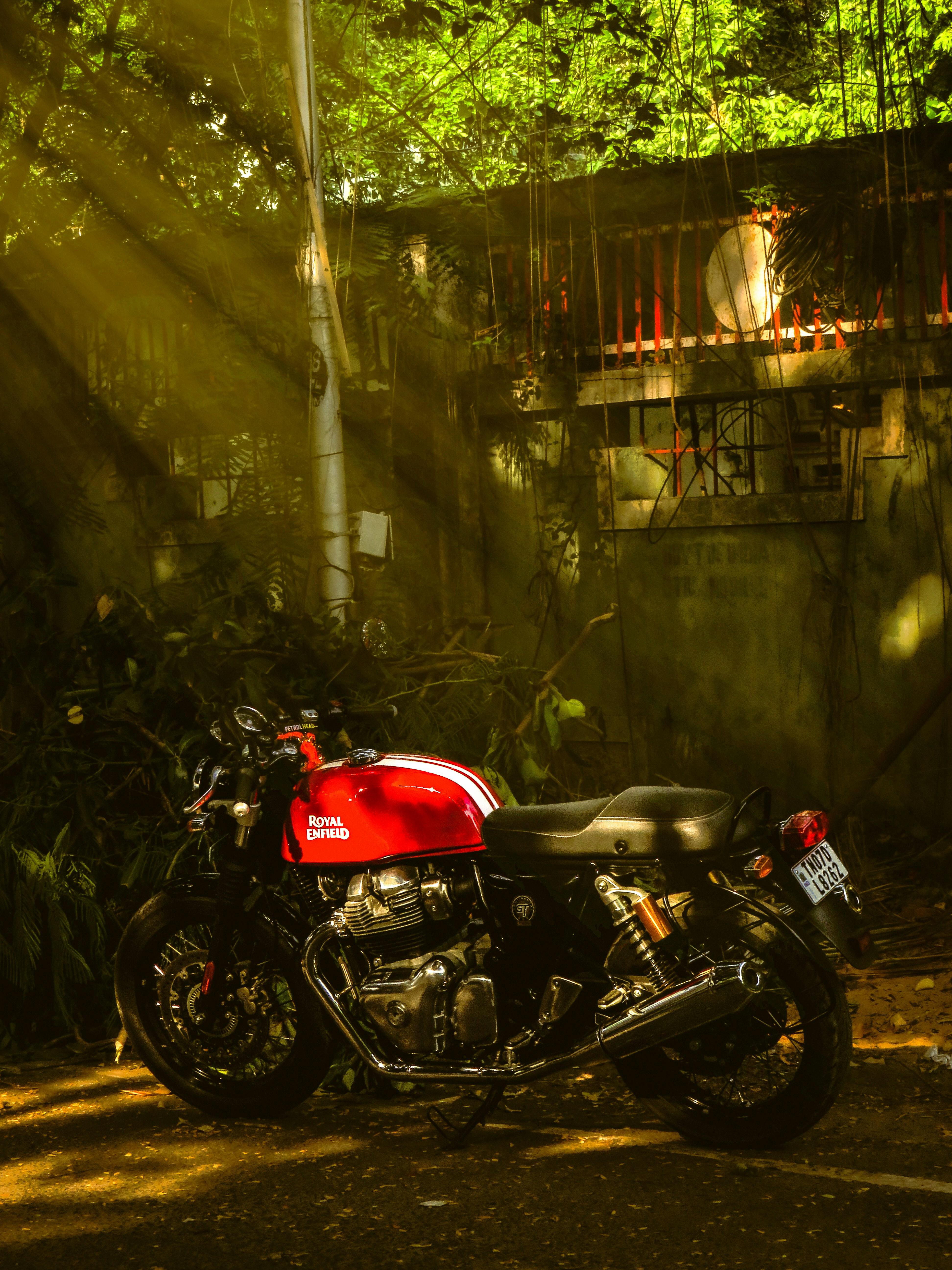 Red motorcycle parked in dappled sunlight.