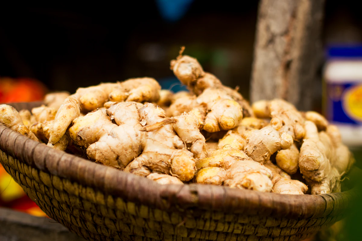 Ginger Adrak Farming India Complete Guide