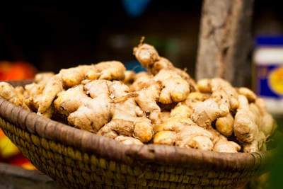 Ginger Adrak Farming India Complete Guide