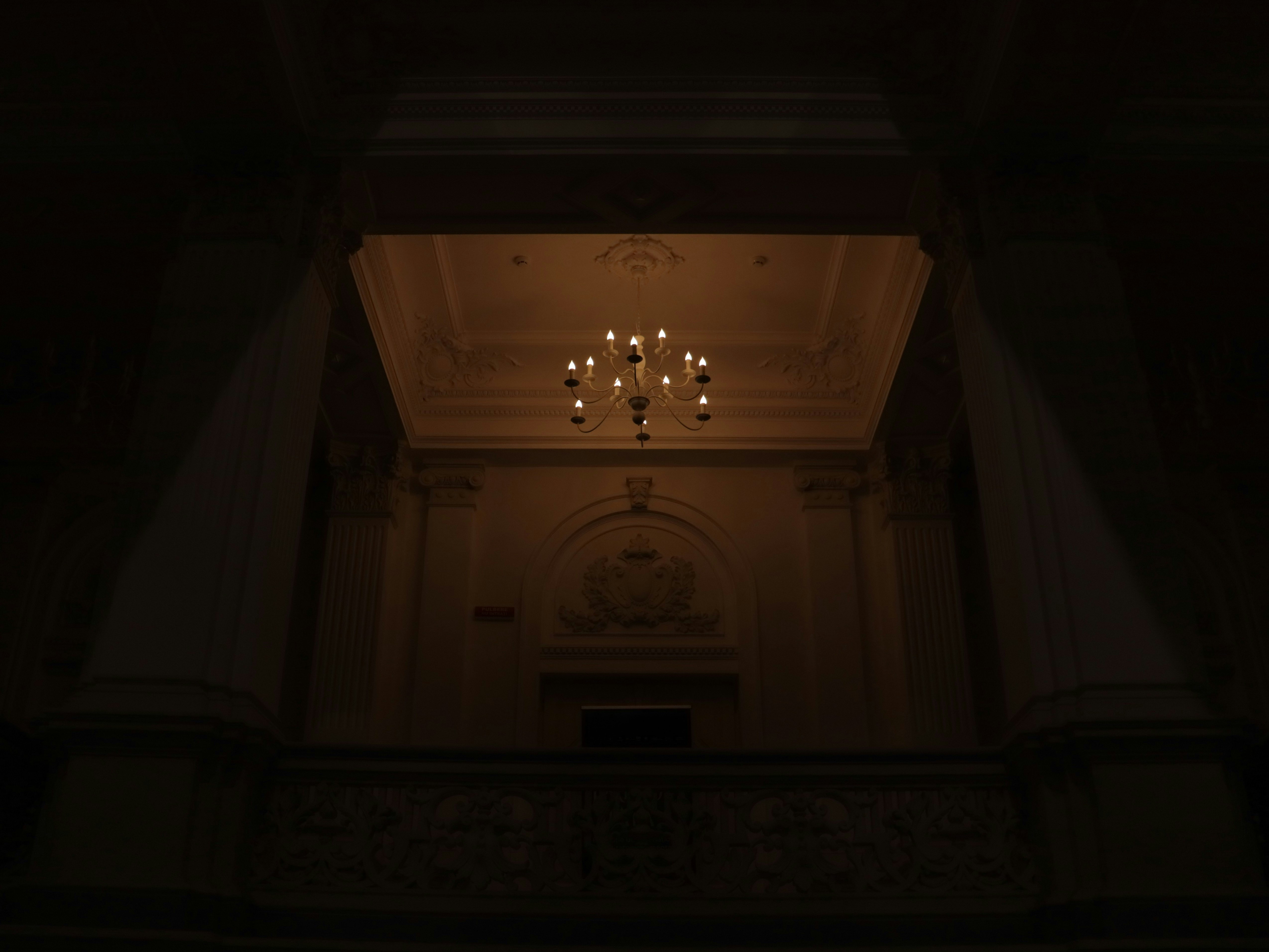 Photo by bored_mongoose