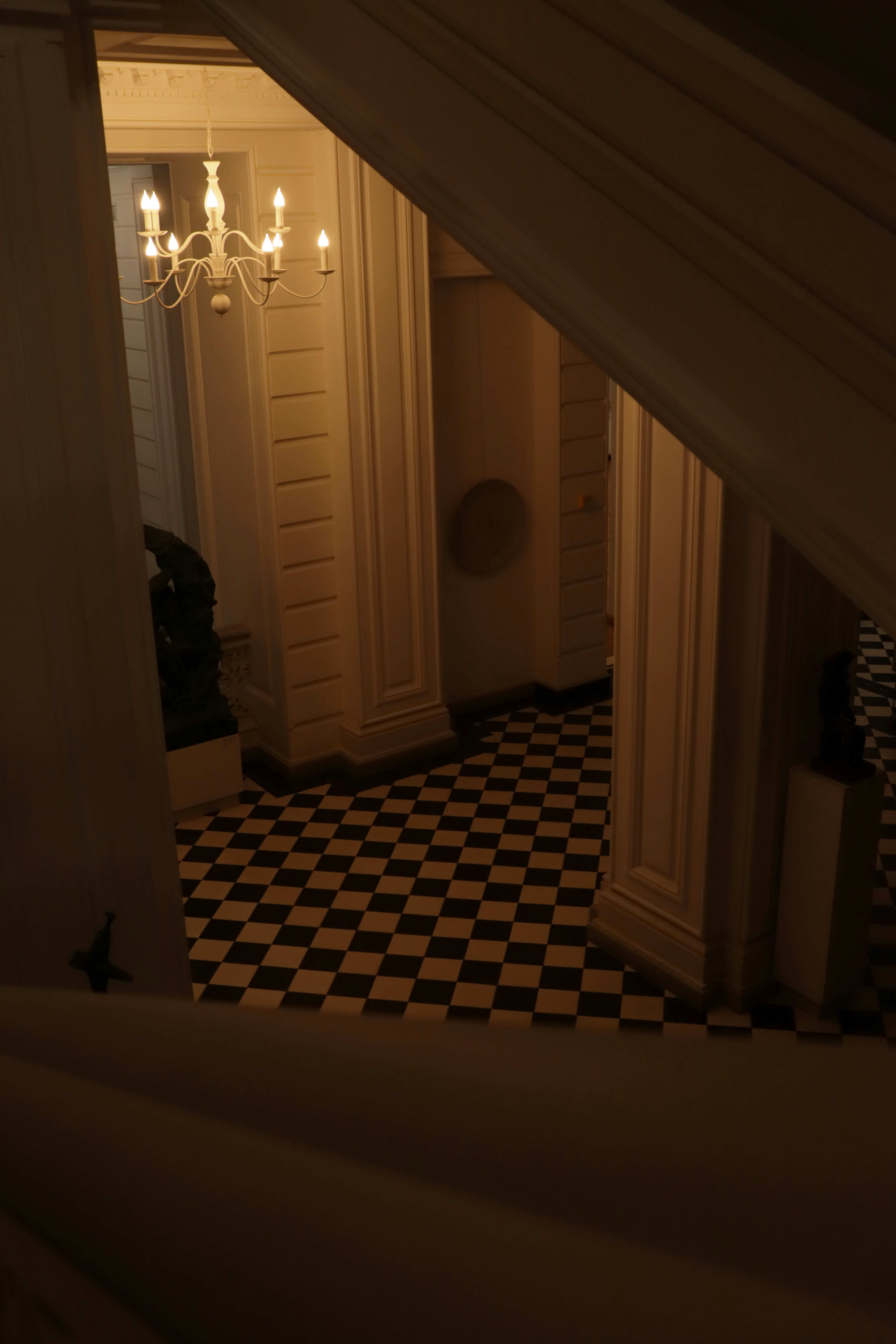 Photo by bored_mongoose