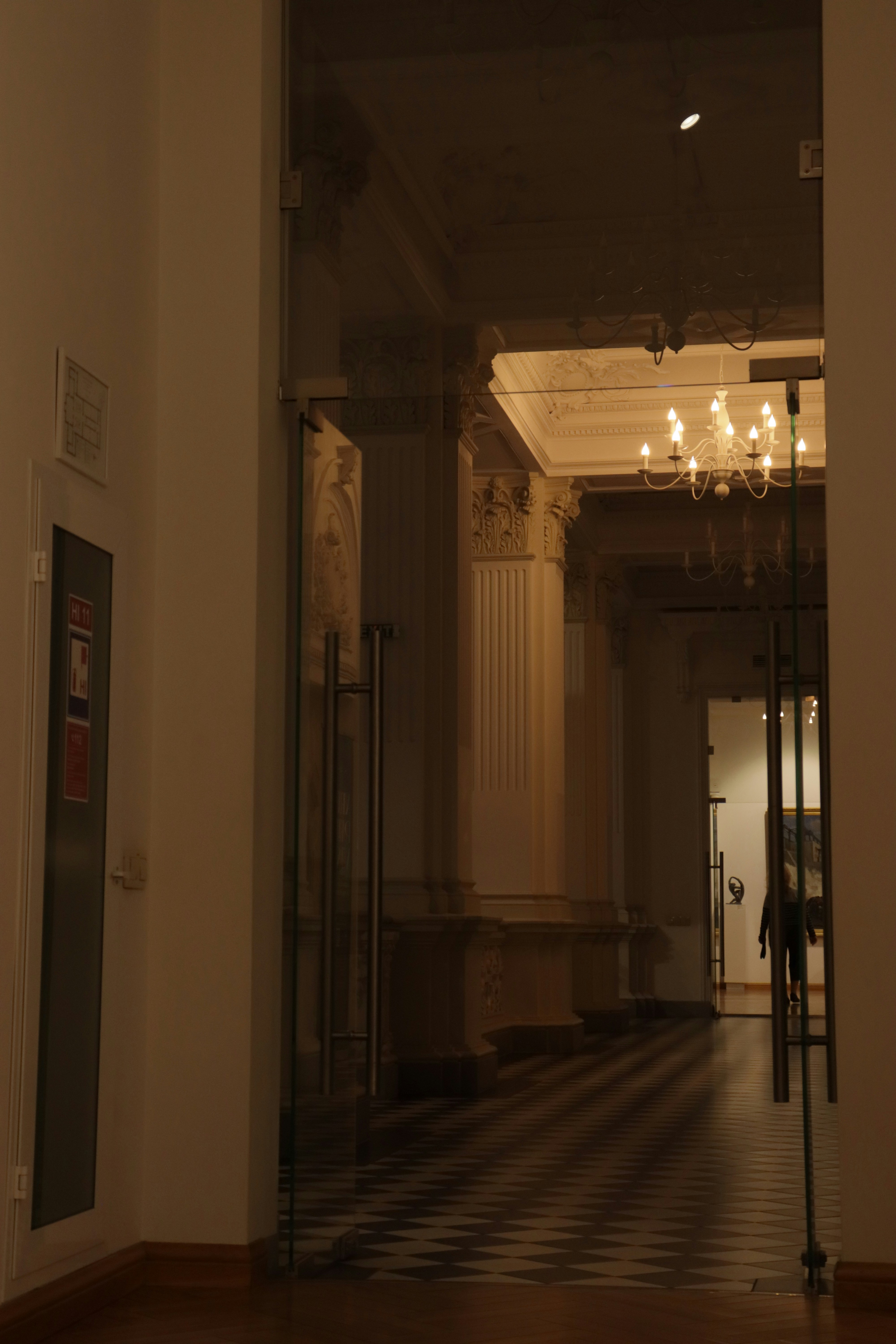 Photo by bored_mongoose