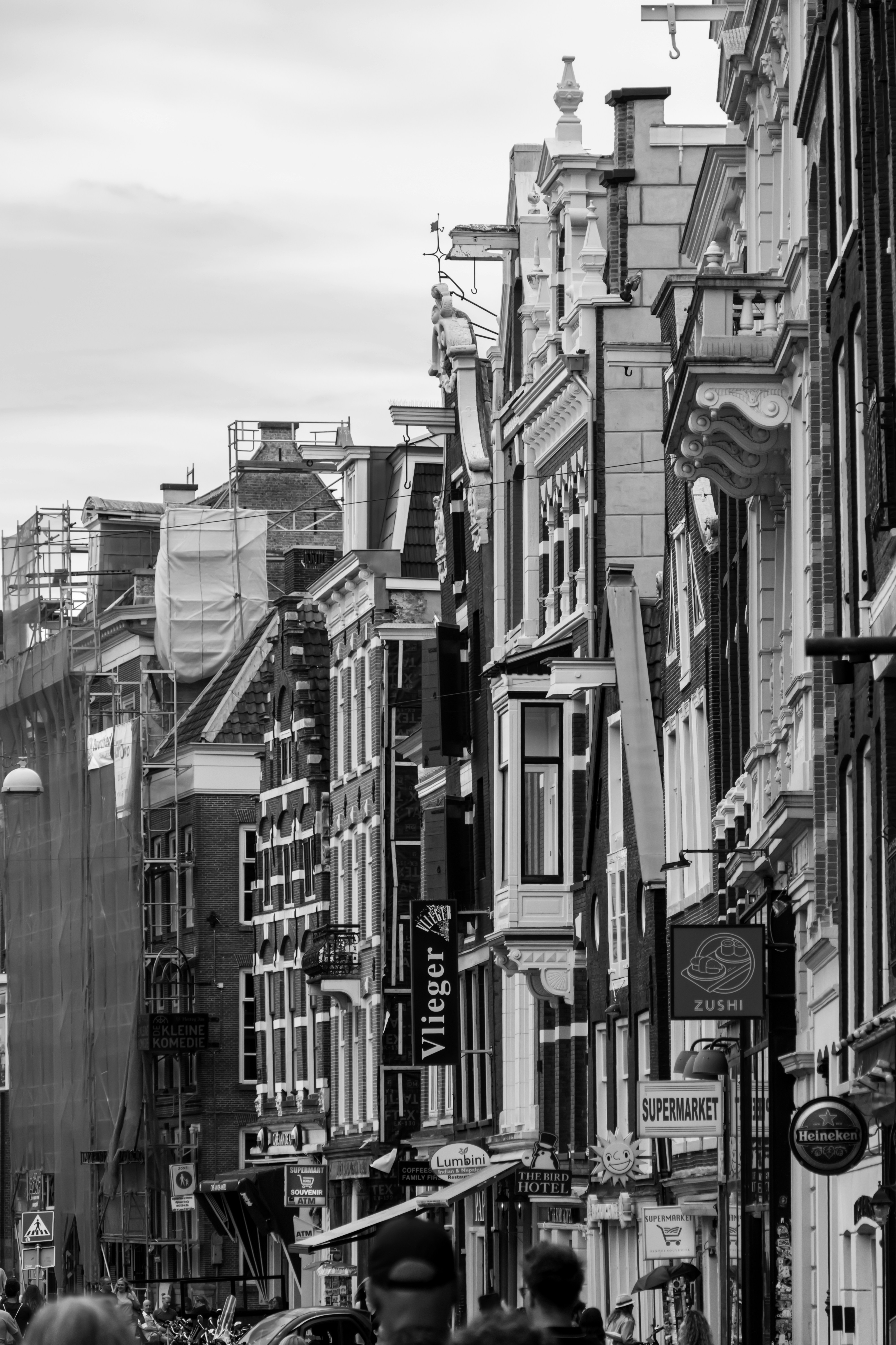 Photo by matthewchow