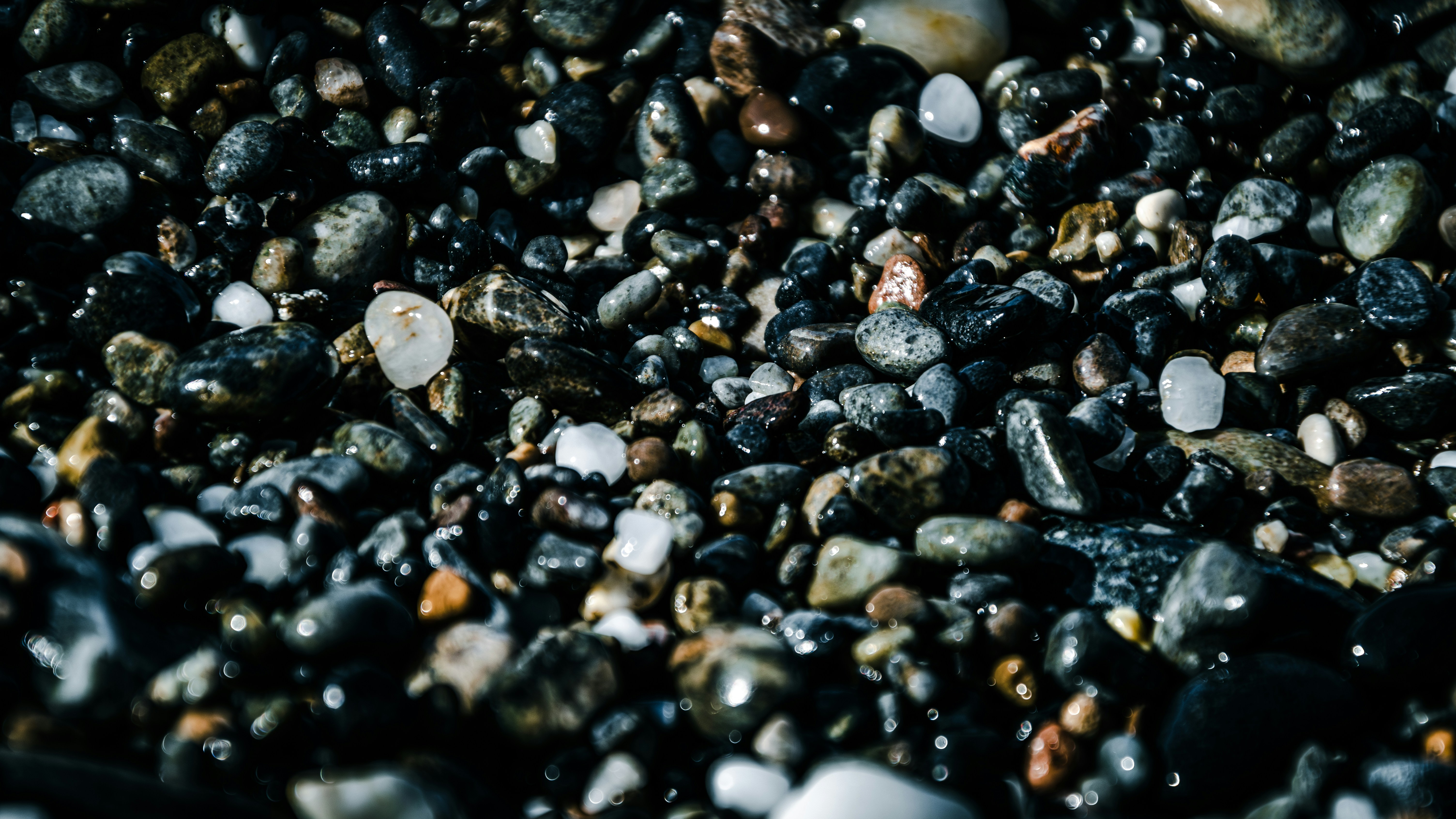 Photo by theoriginalbubi