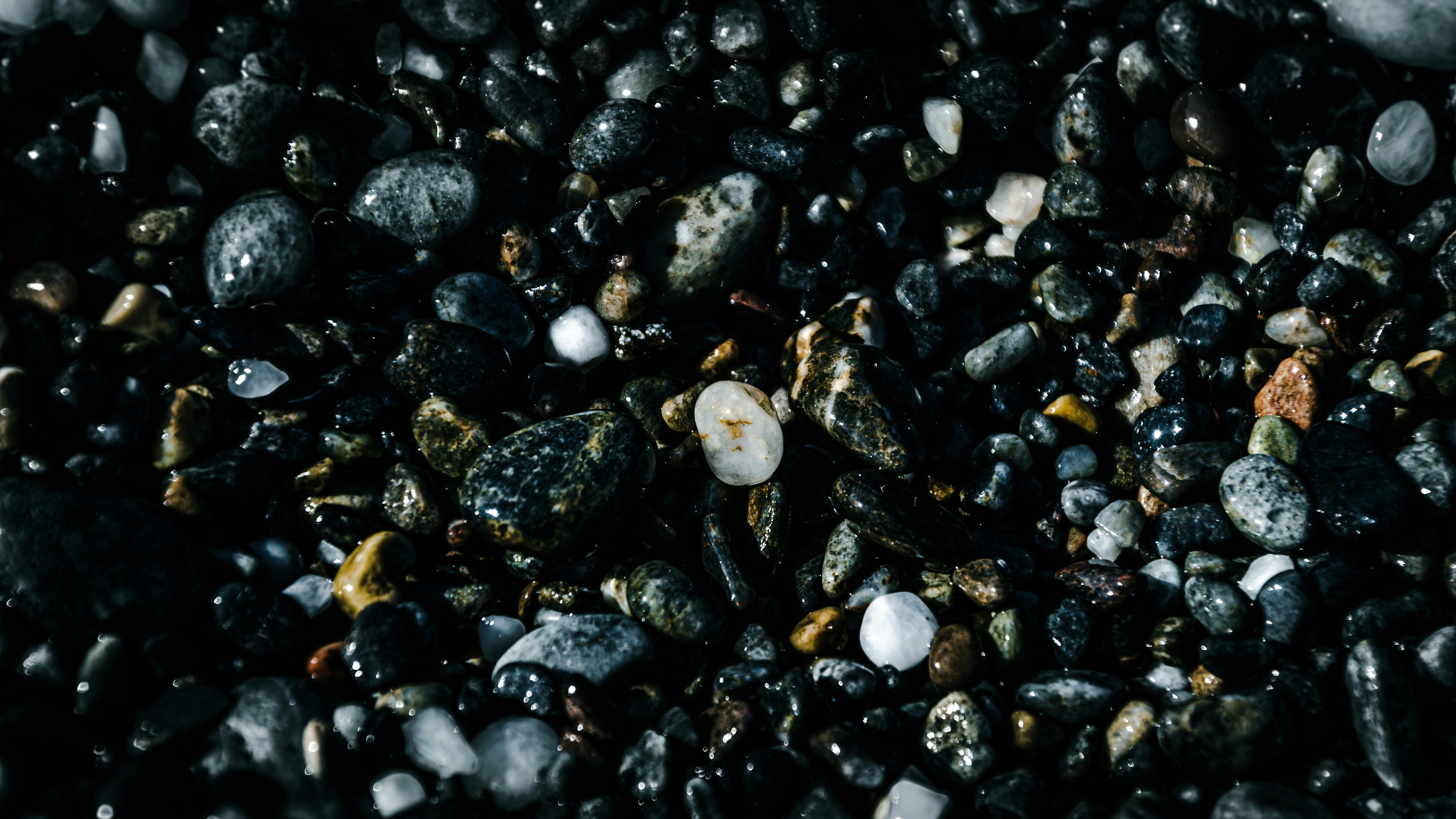 Close-up of wet, dark pebbles and sand.
