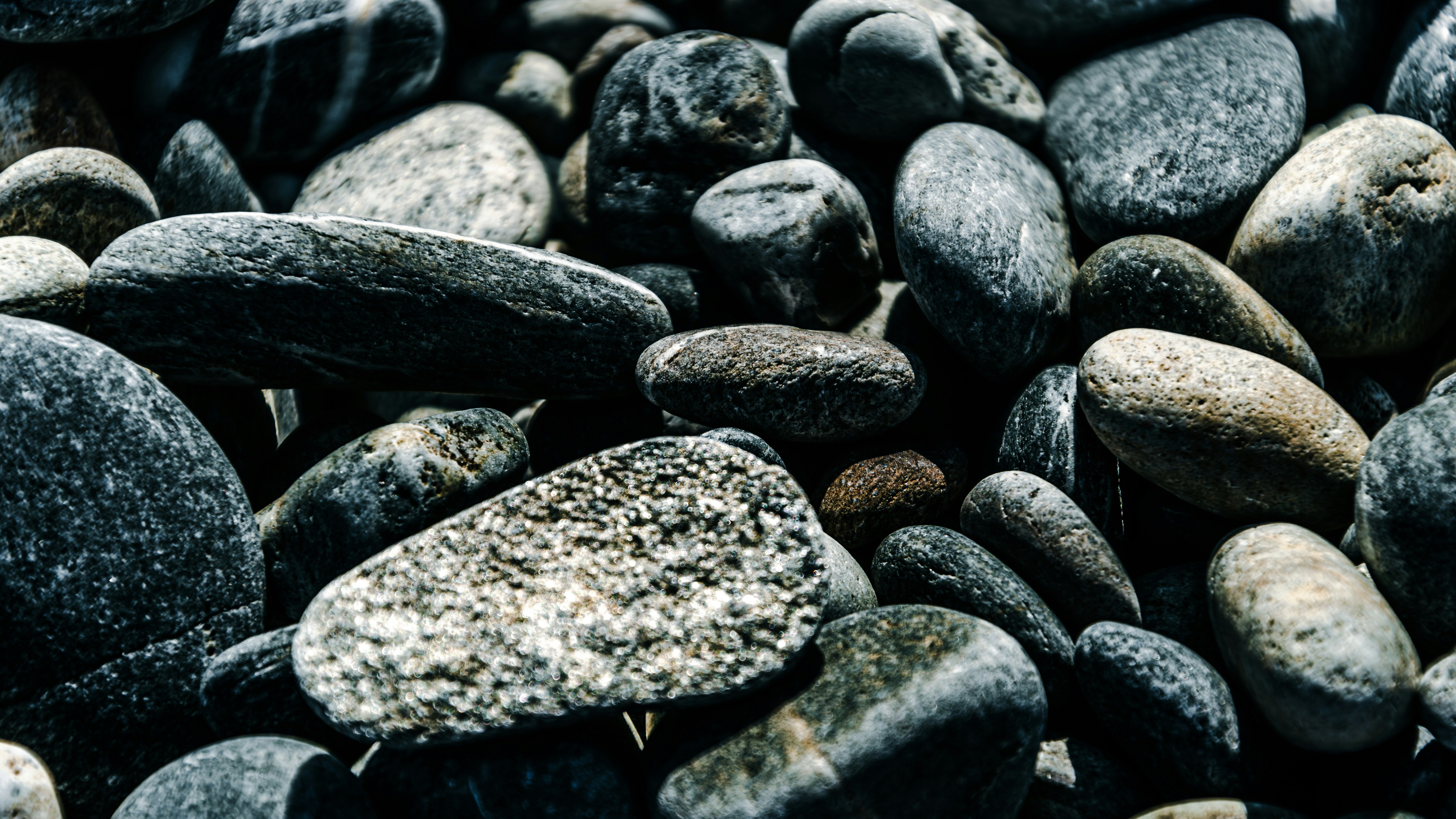 Photo by theoriginalbubi