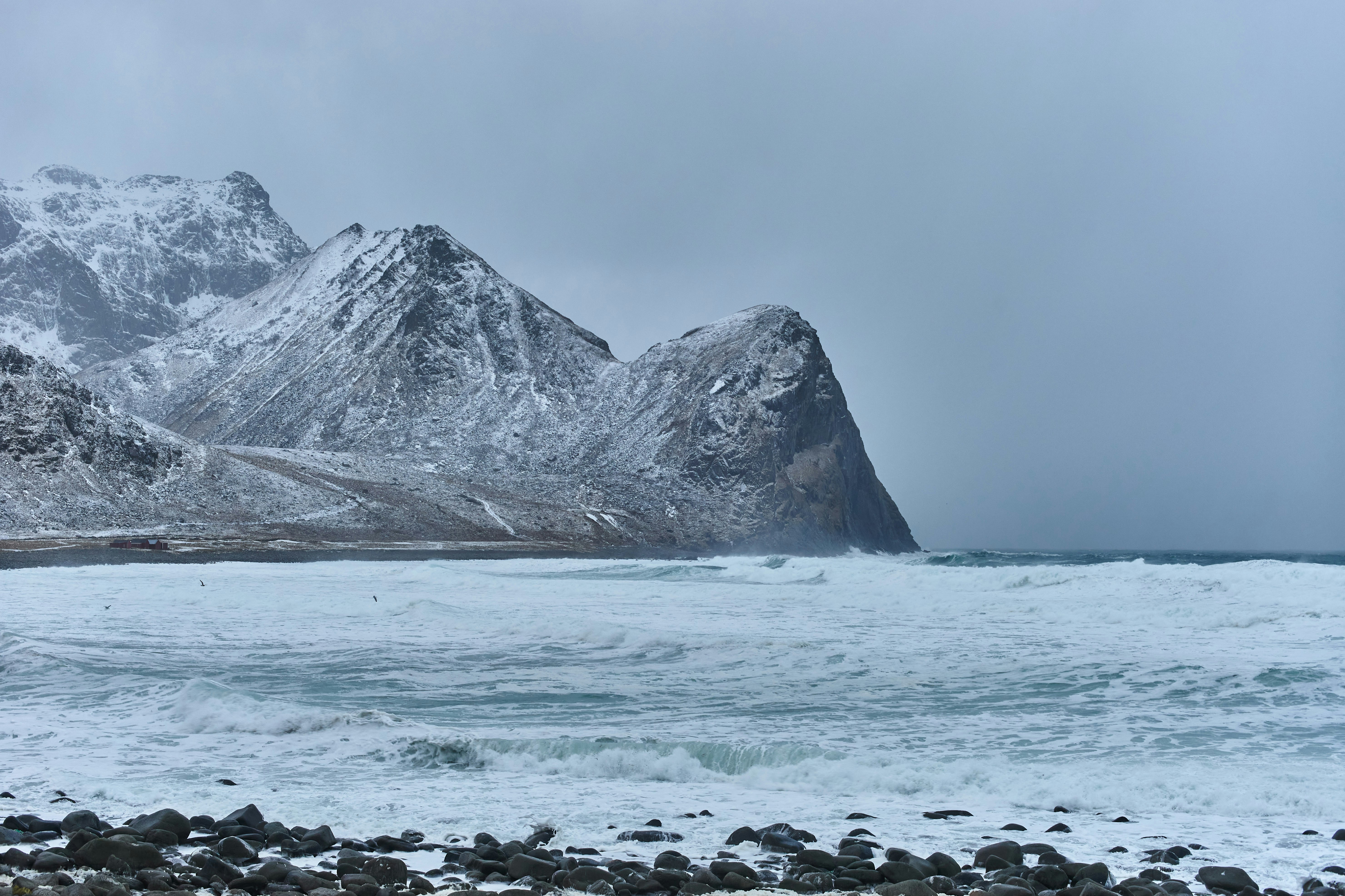 Photo by wolfgang_hasselmann