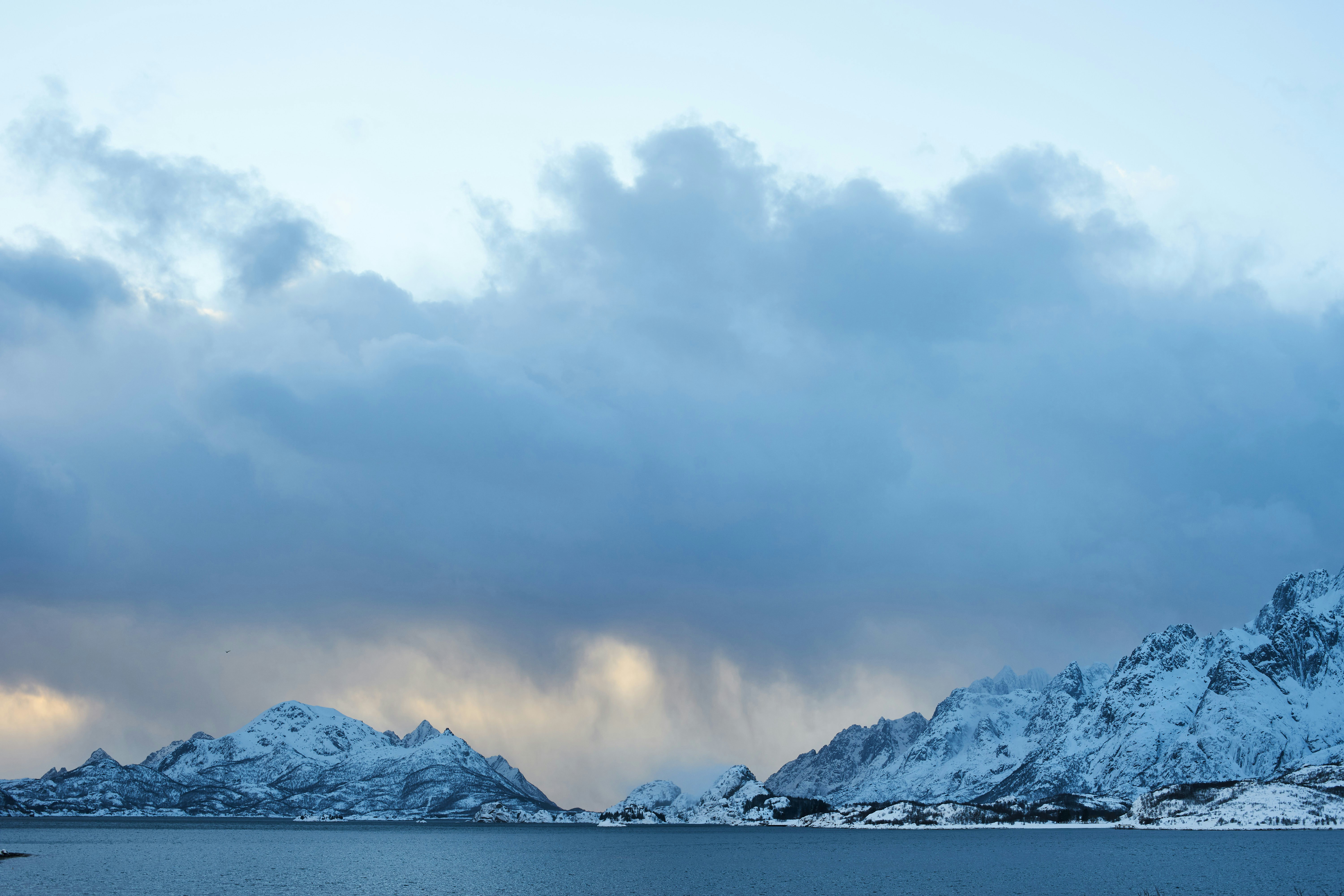 Photo by wolfgang_hasselmann