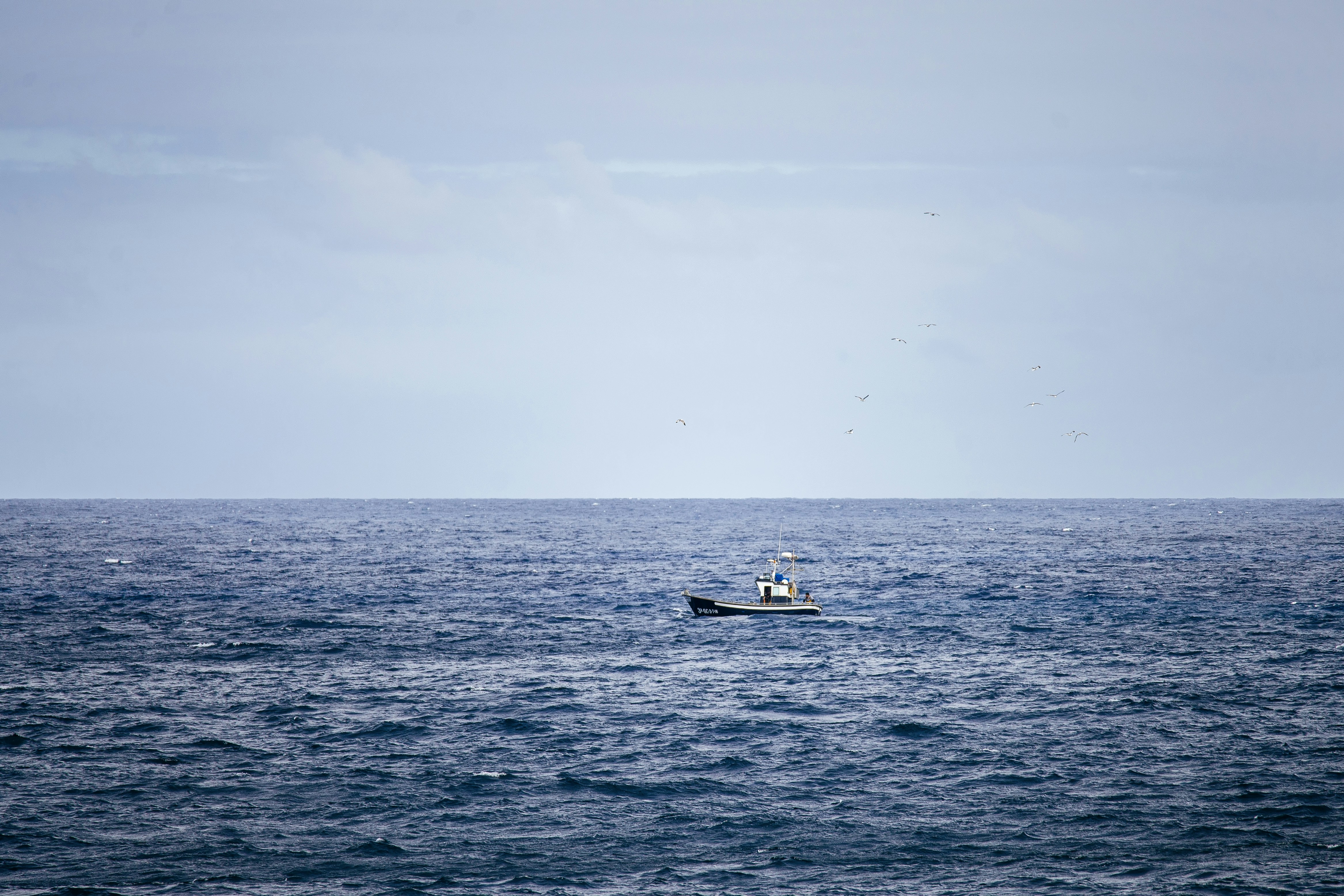 Photo by akari_tsuru