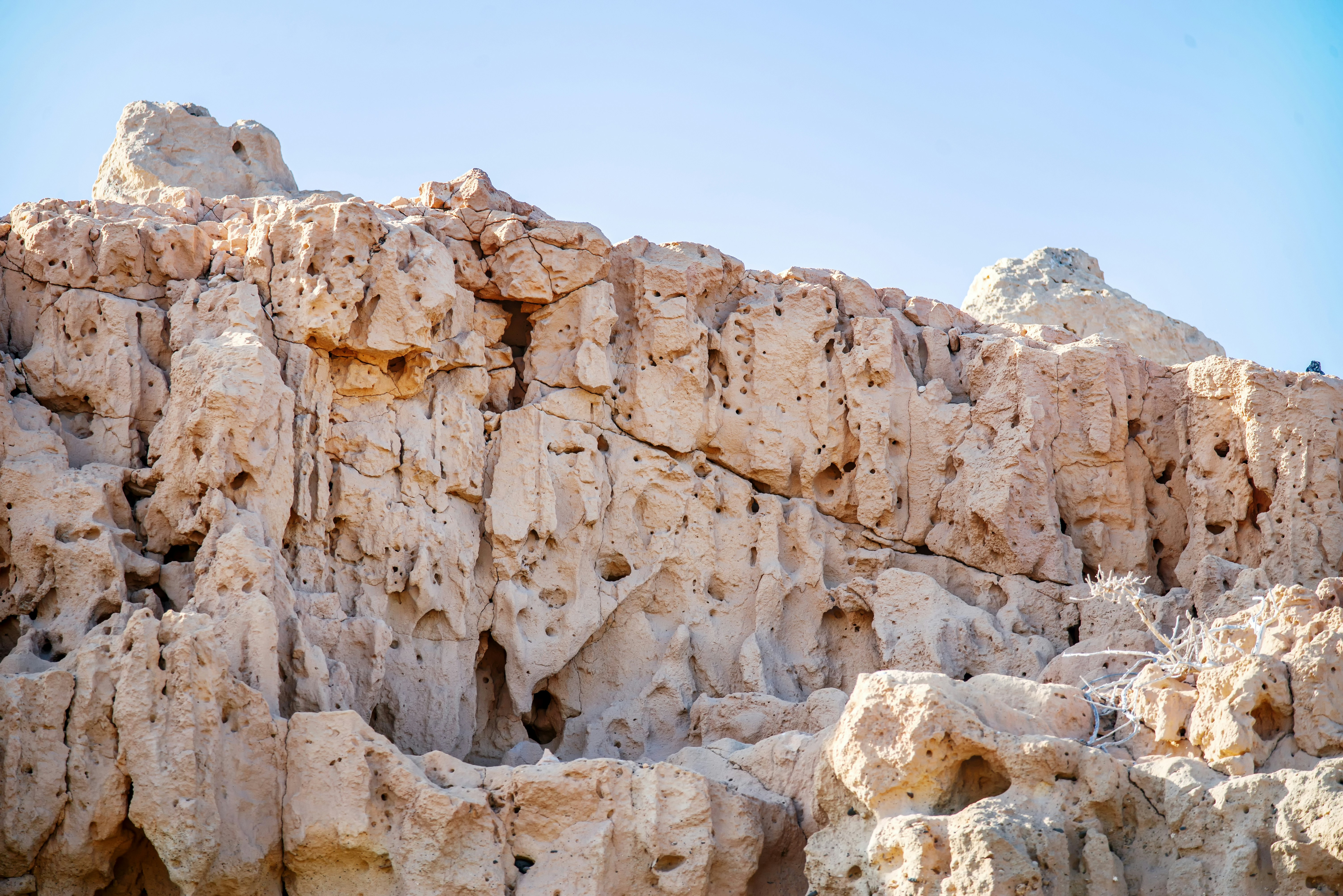 Photo by akari_tsuru