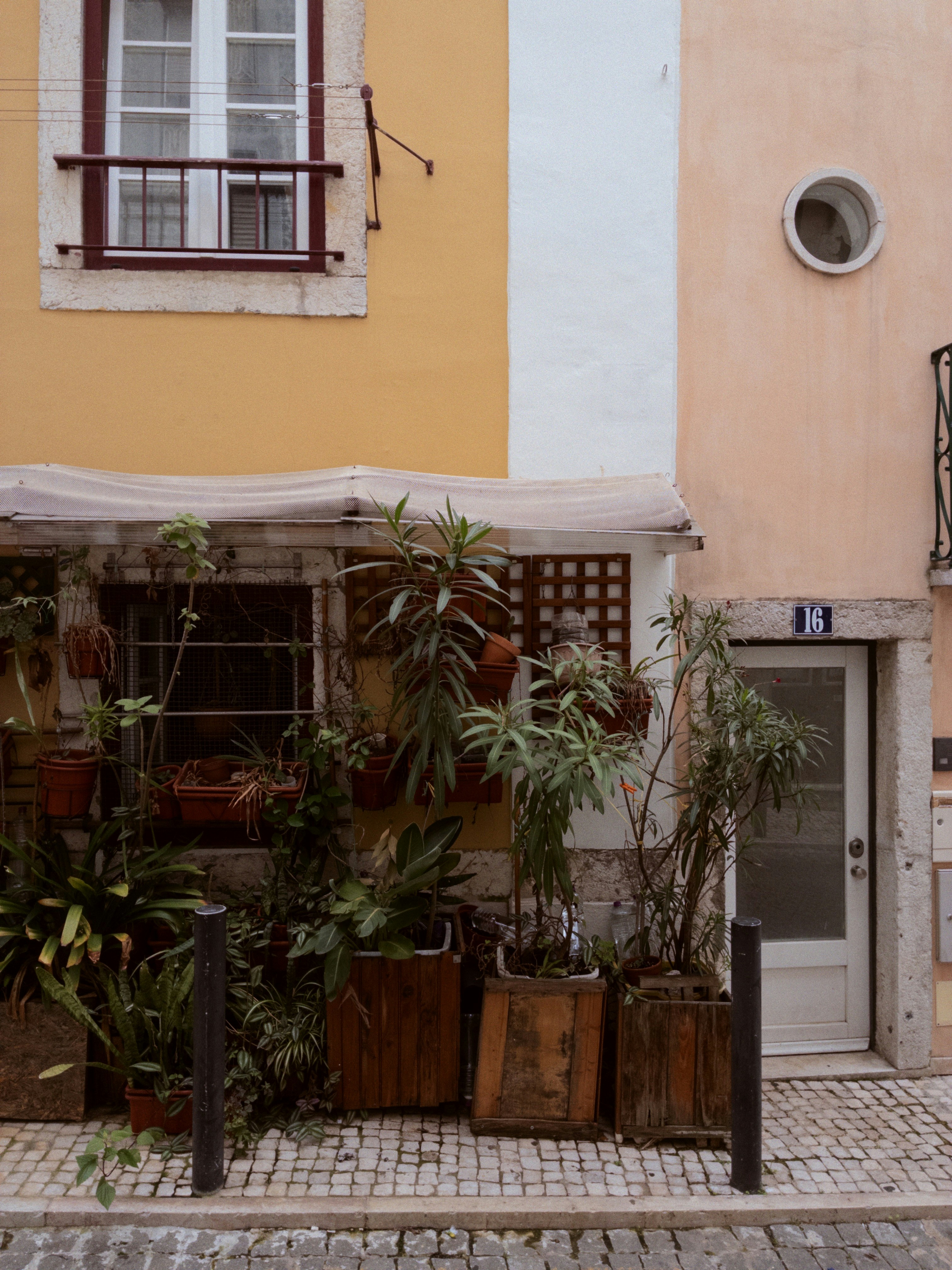 Photo by astashov_artem