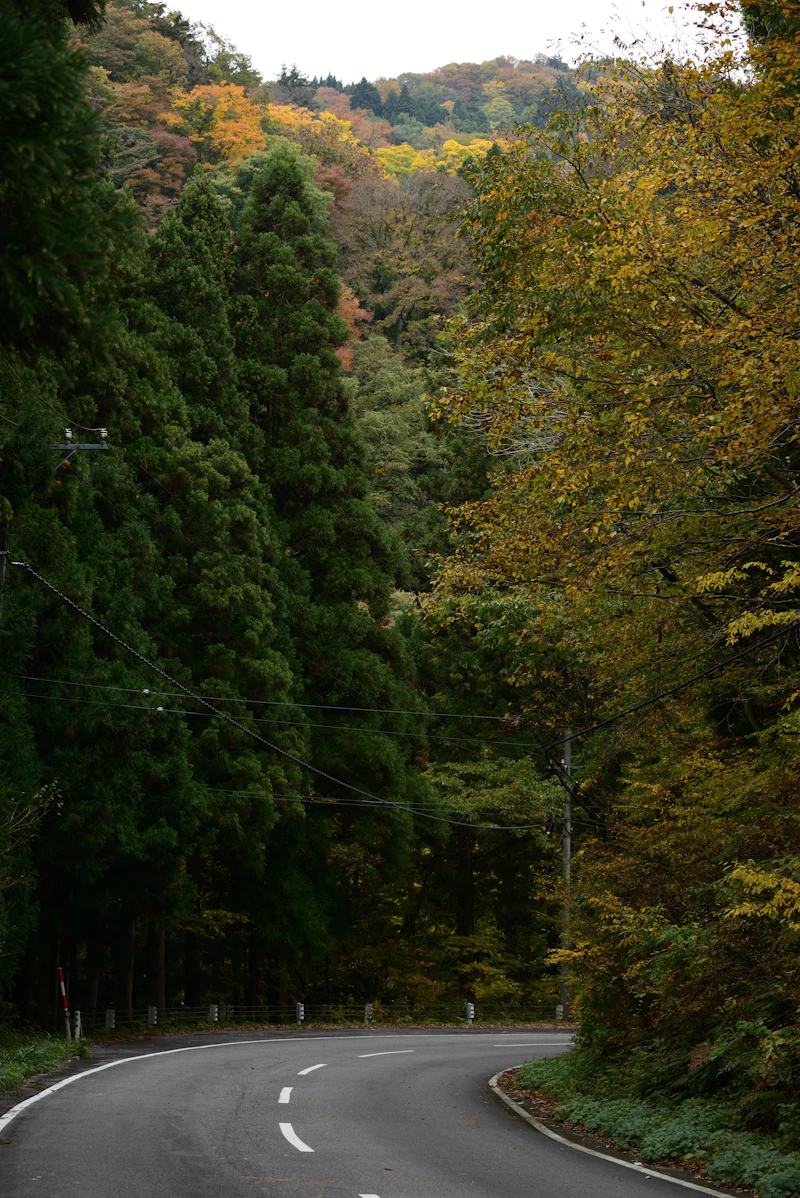 麦草峠・メルヘン街道