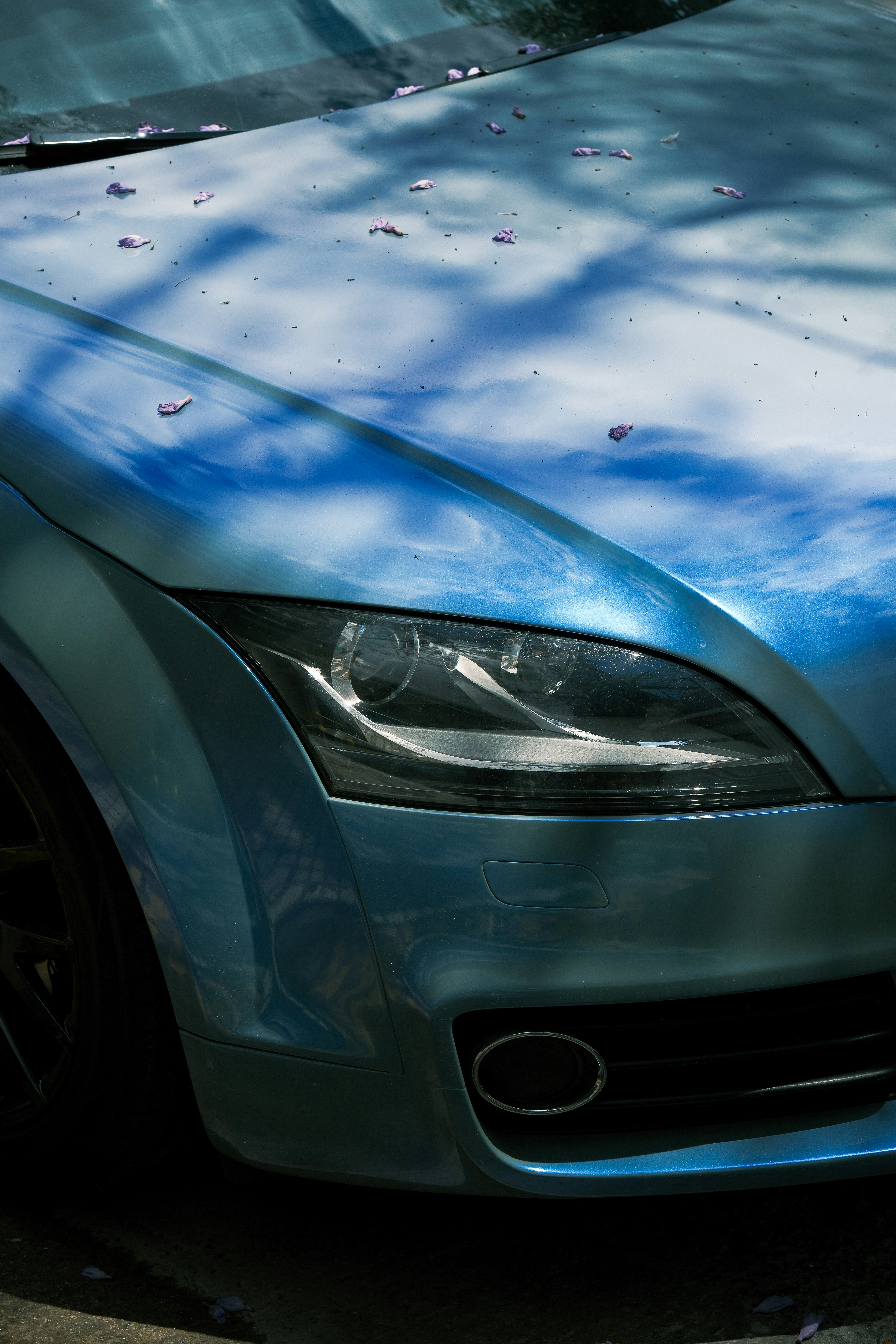 Photo by justalifein