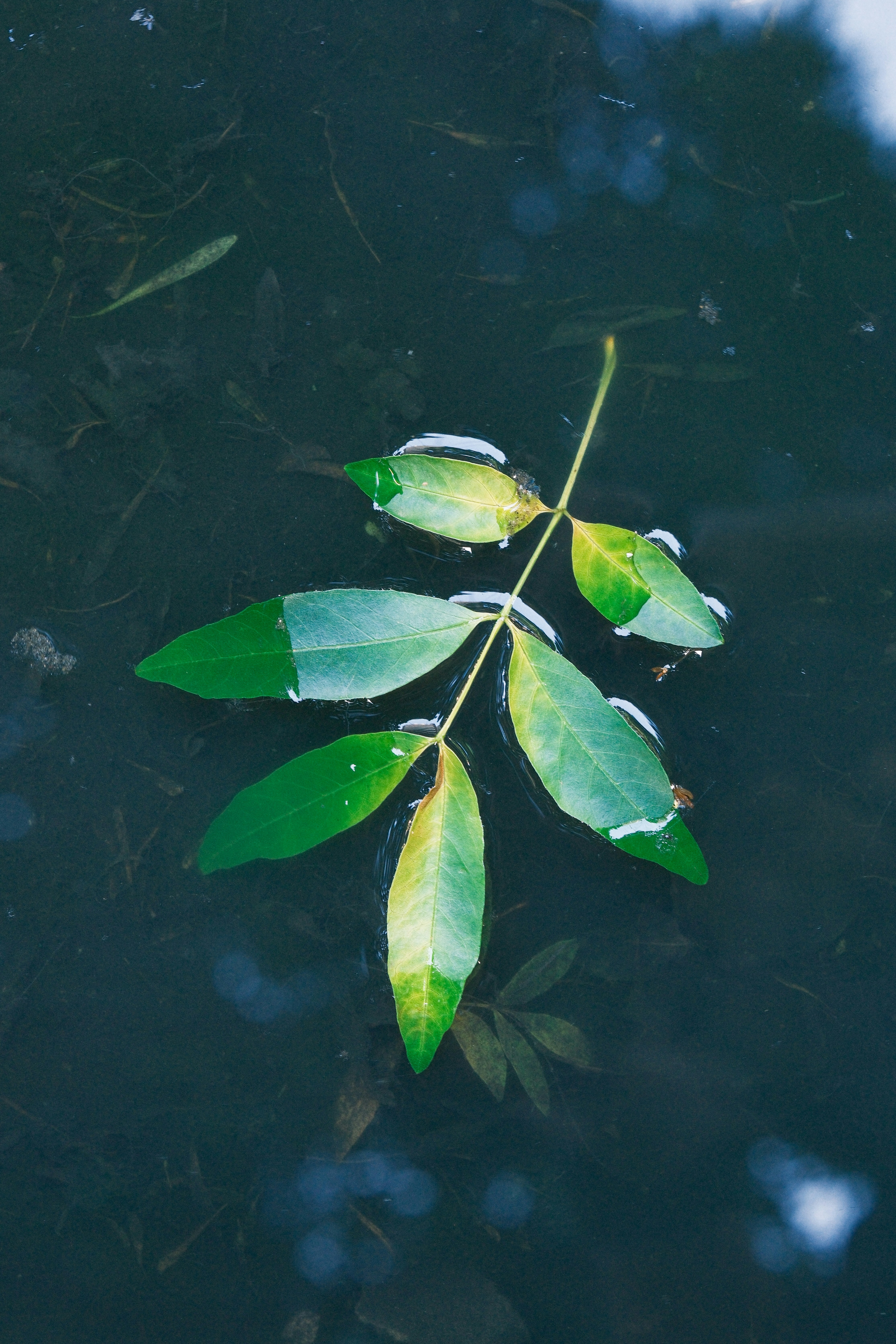 Photo by justalifein