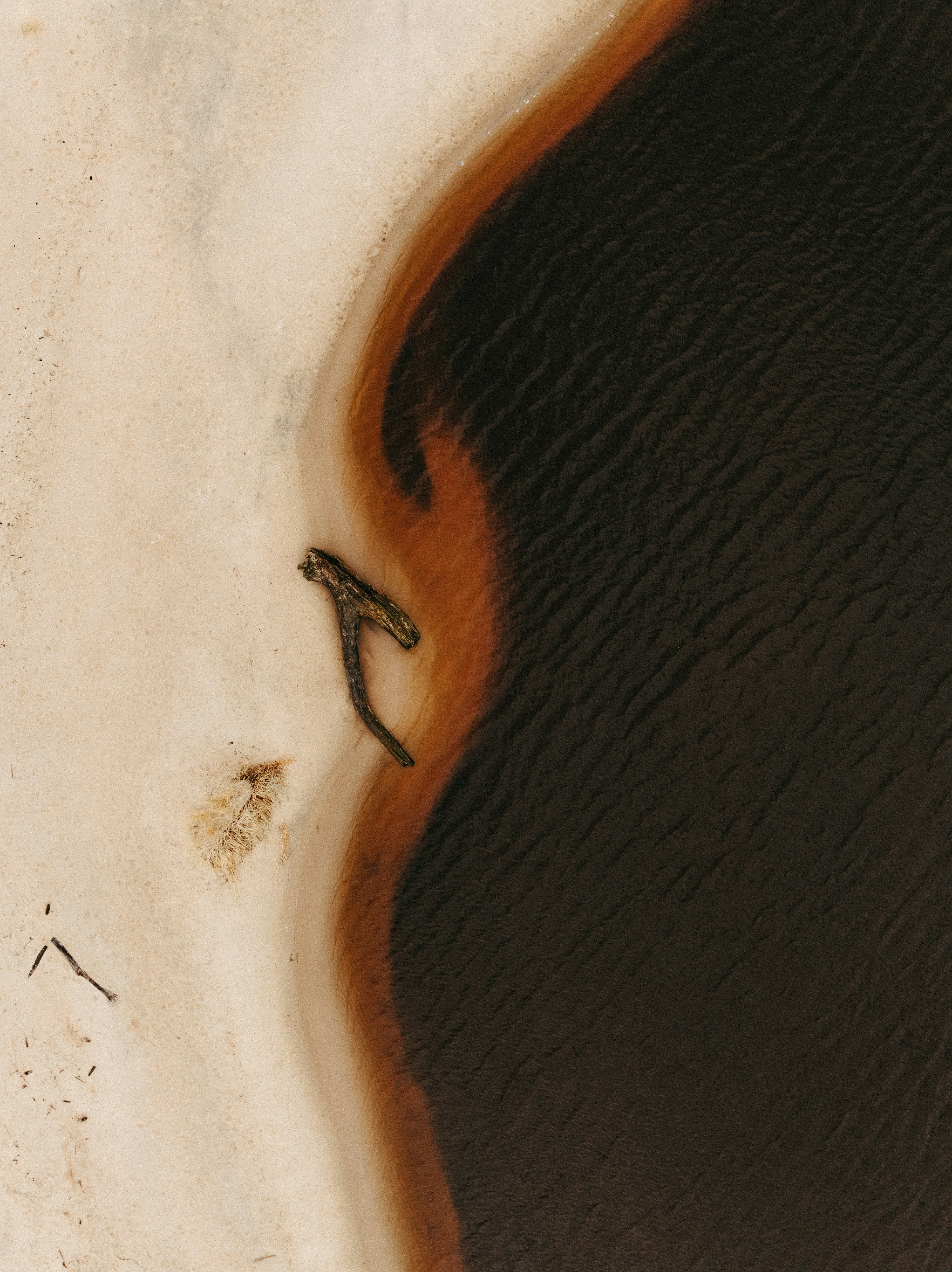 Aerial view of dark water meeting sandy shore with driftwood.