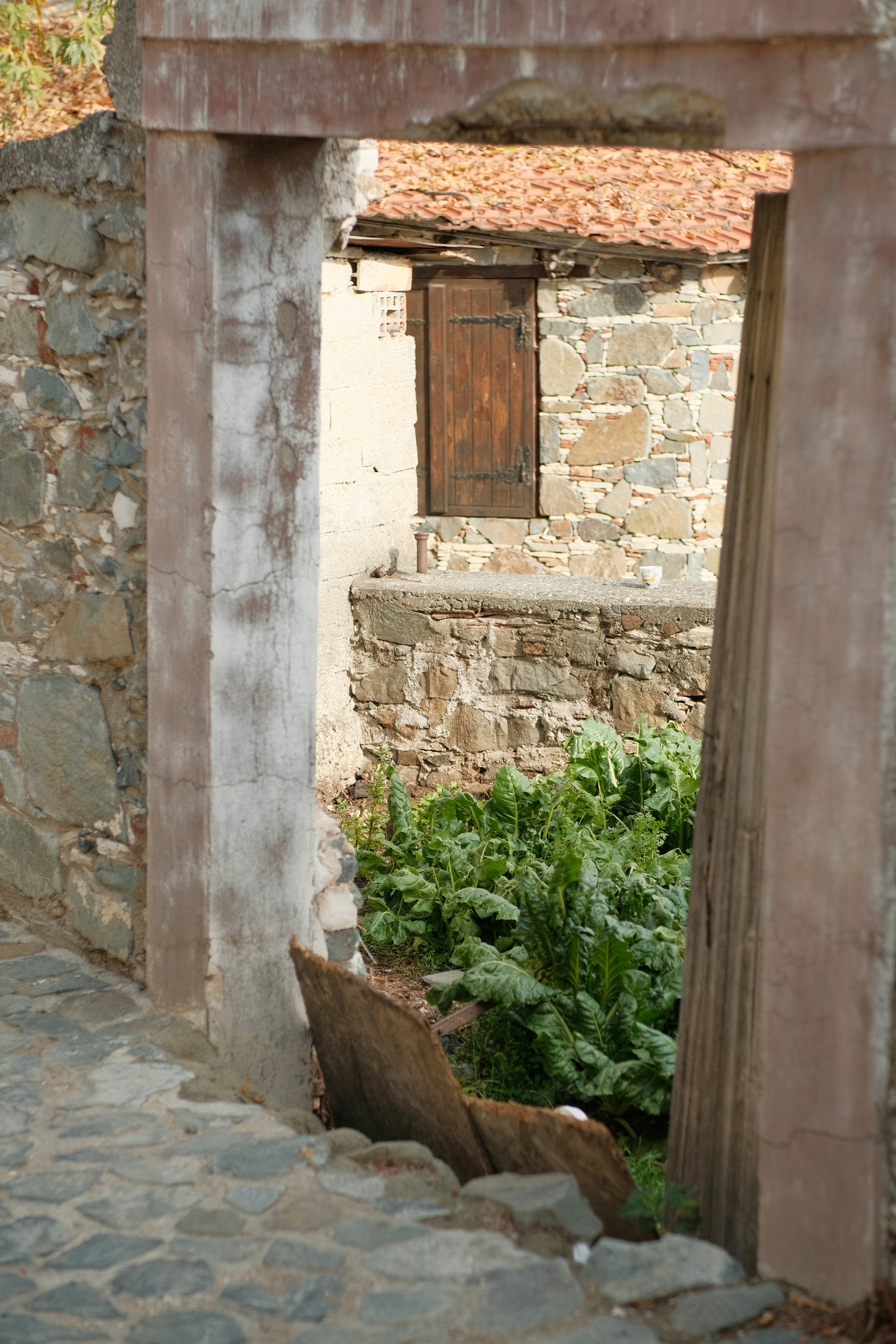 rustic terracotta kitchen, wallpaper, Terracotta Pantry: Creating Cozy Kitchen Storage 4