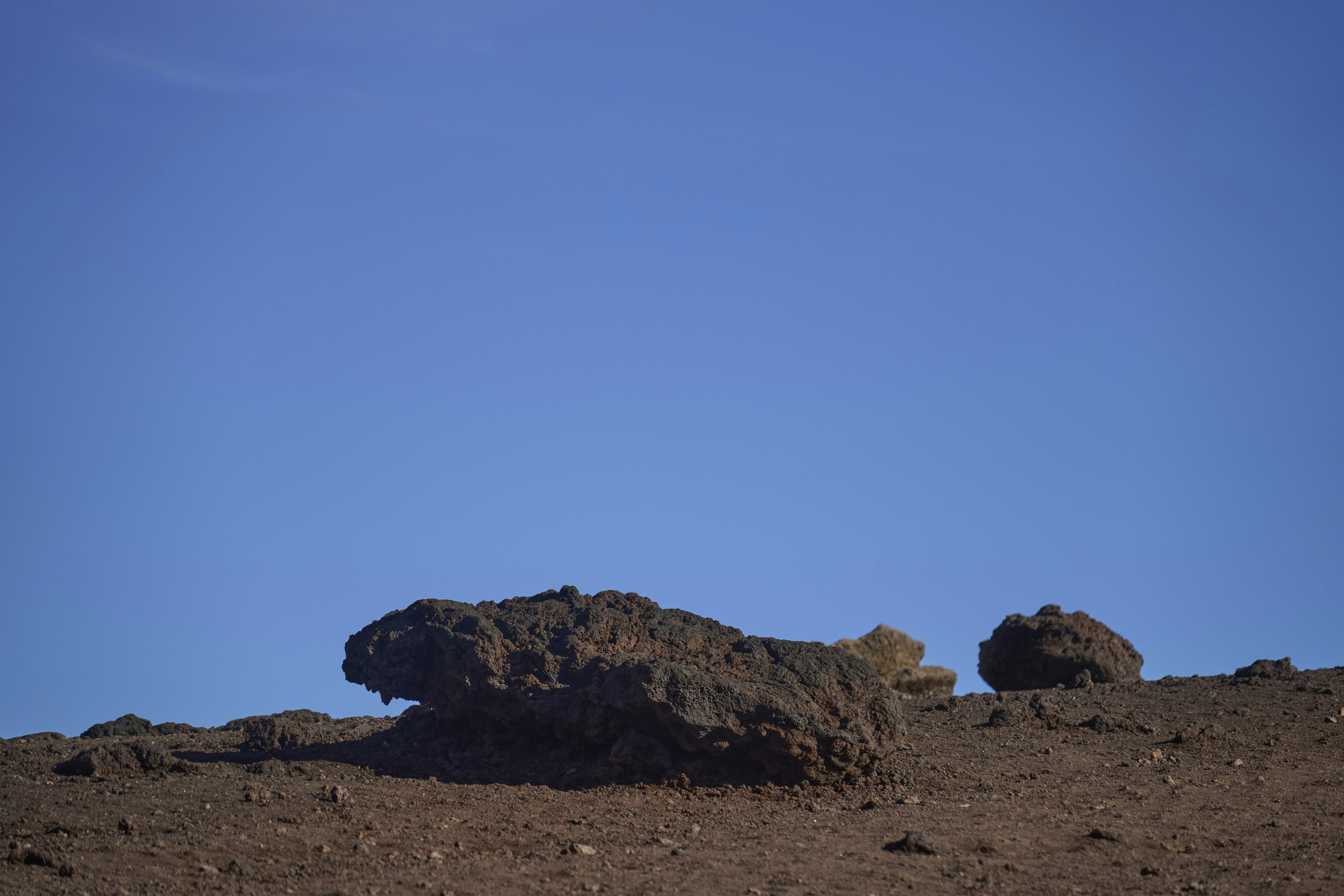 Photo by wolfgang_hasselmann