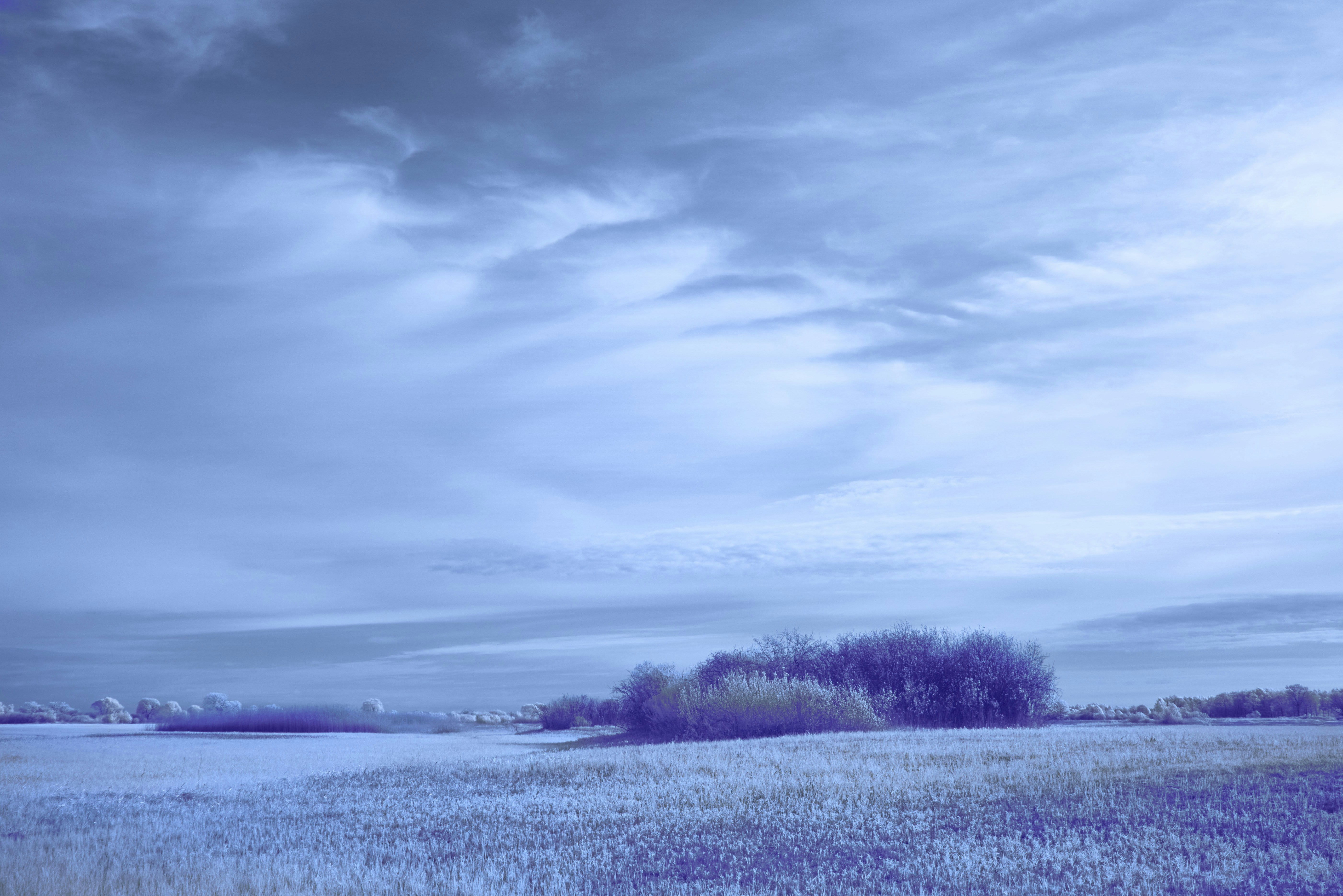 Photo by wolfgang_hasselmann