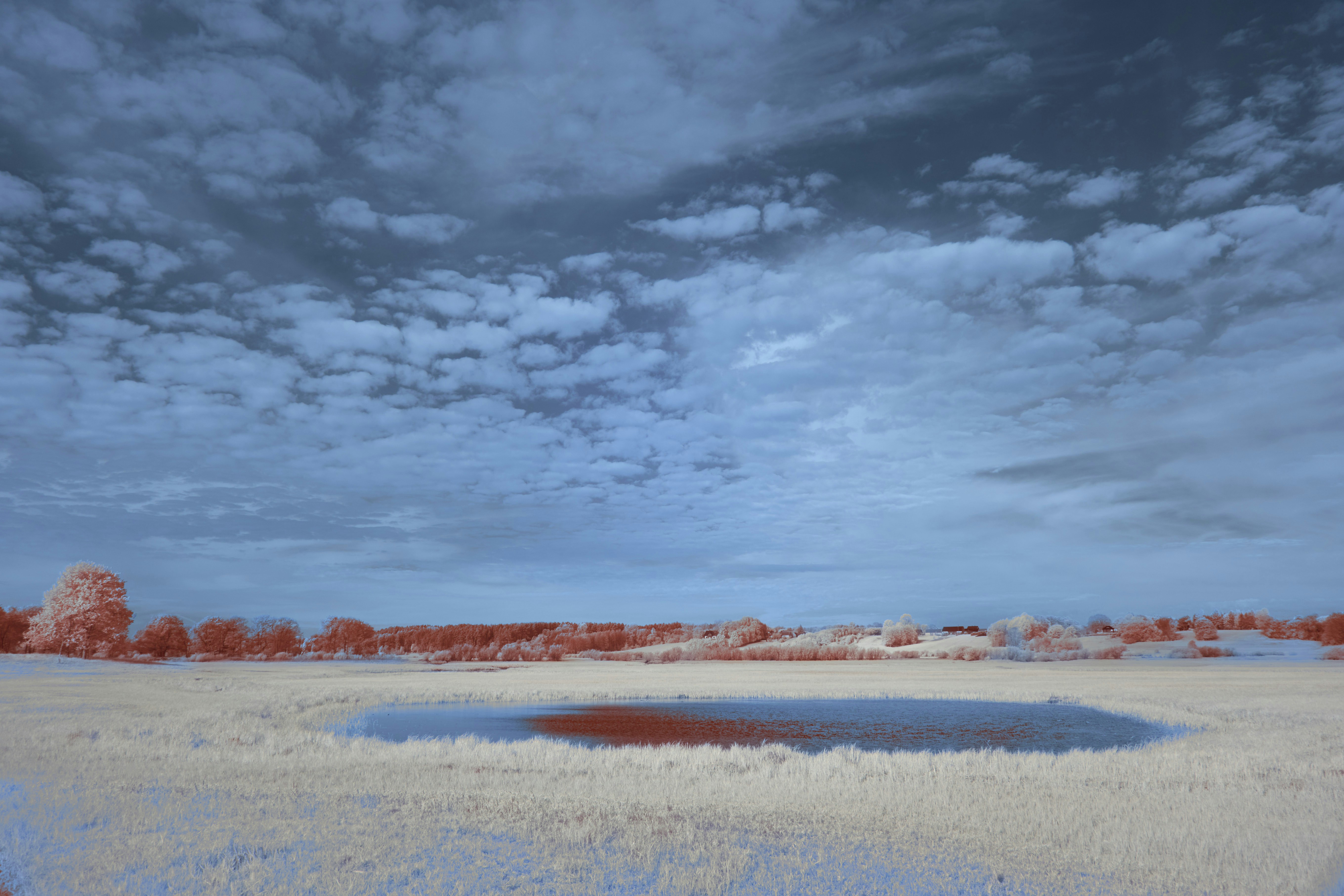 Photo by wolfgang_hasselmann