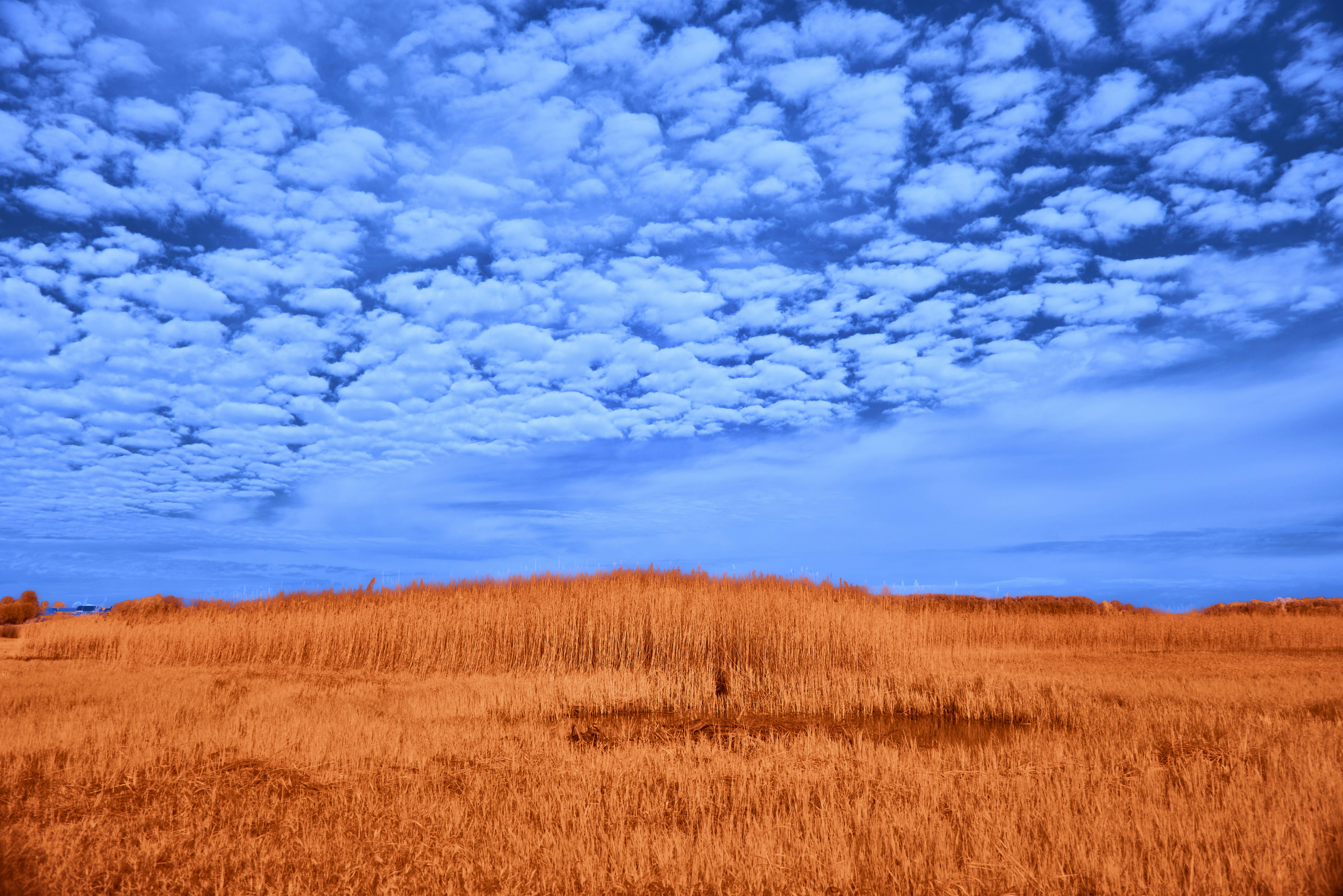 Photo by wolfgang_hasselmann