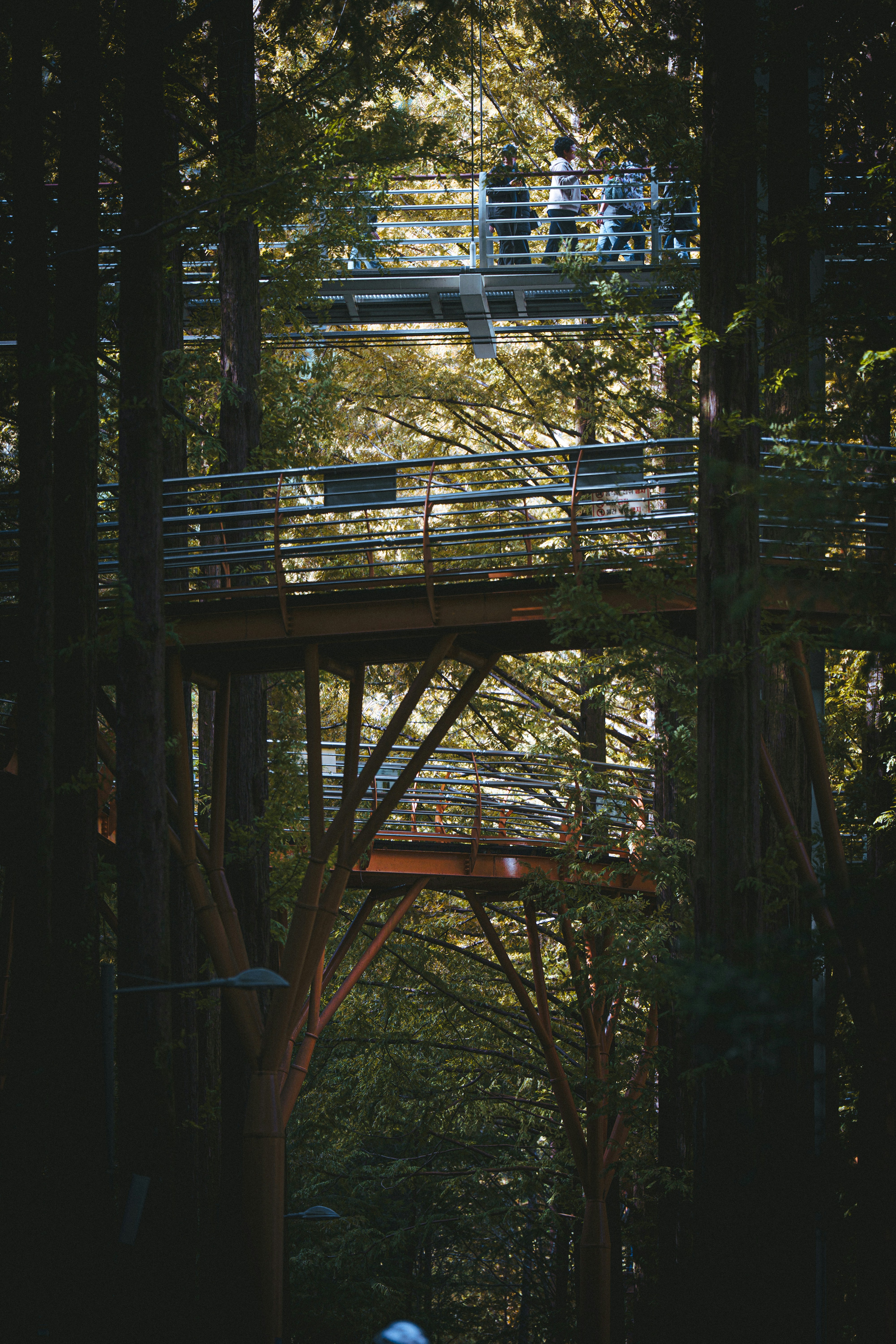 The Garden Route photo 2