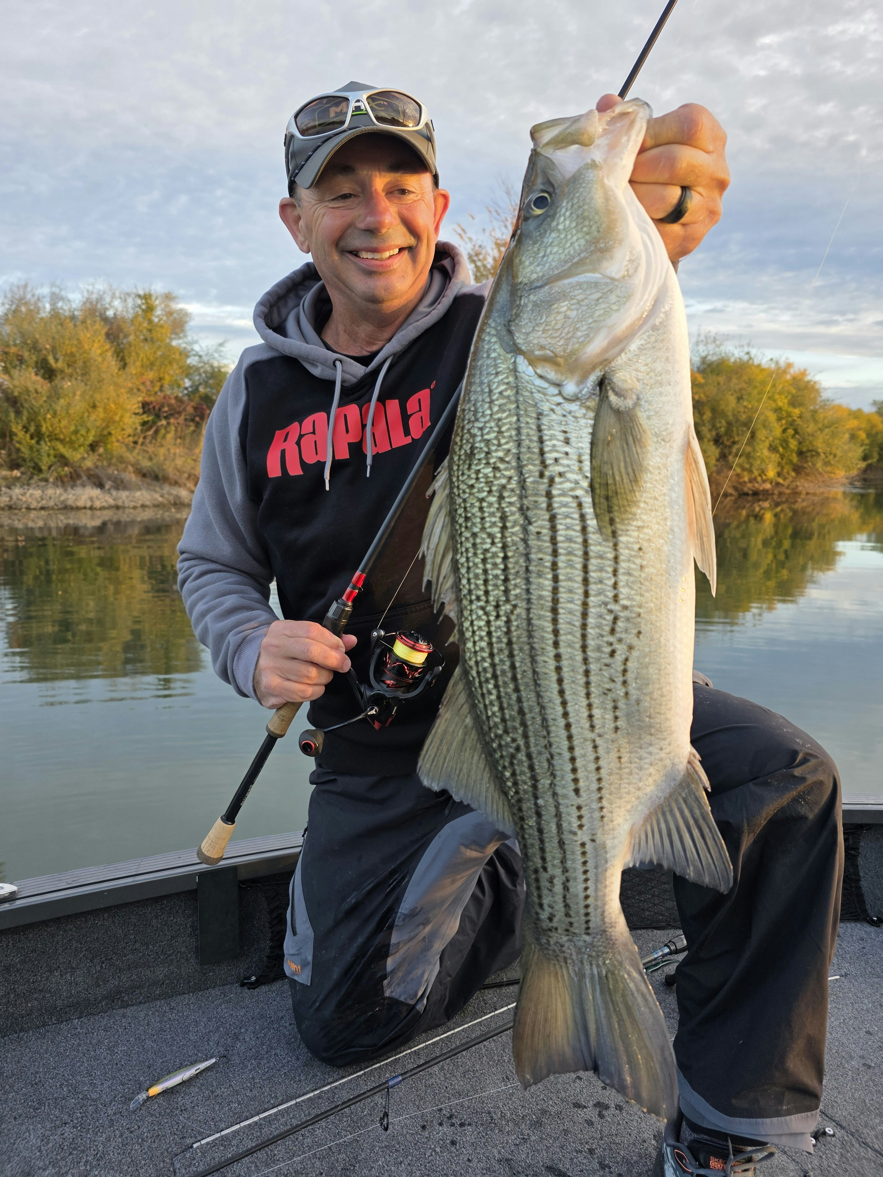 Man holding a large striped bass on a boat