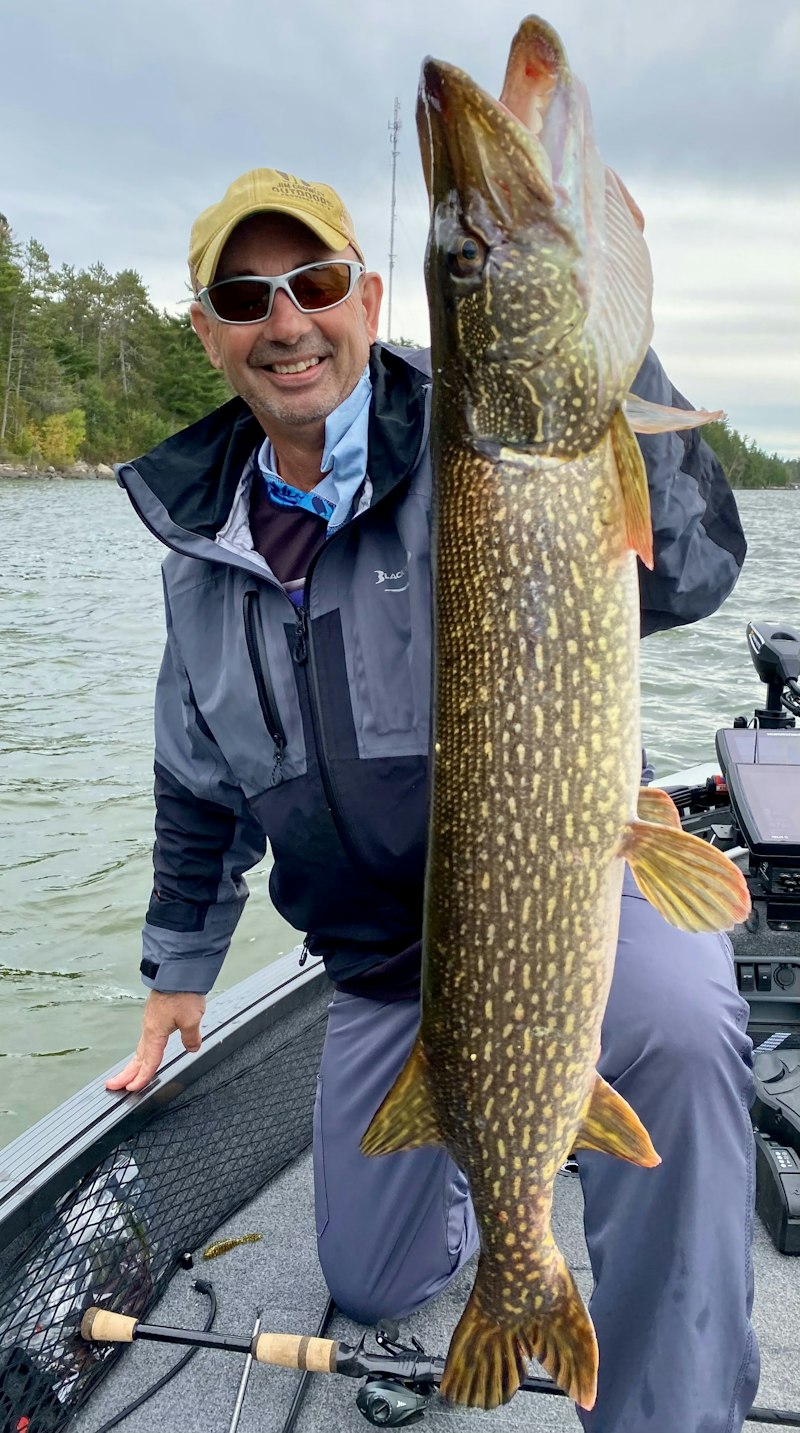 Smiling angler in a rain jacket kneeling in a boat and holding a long spotted northern pike vertically, with a spruce shoreline behind