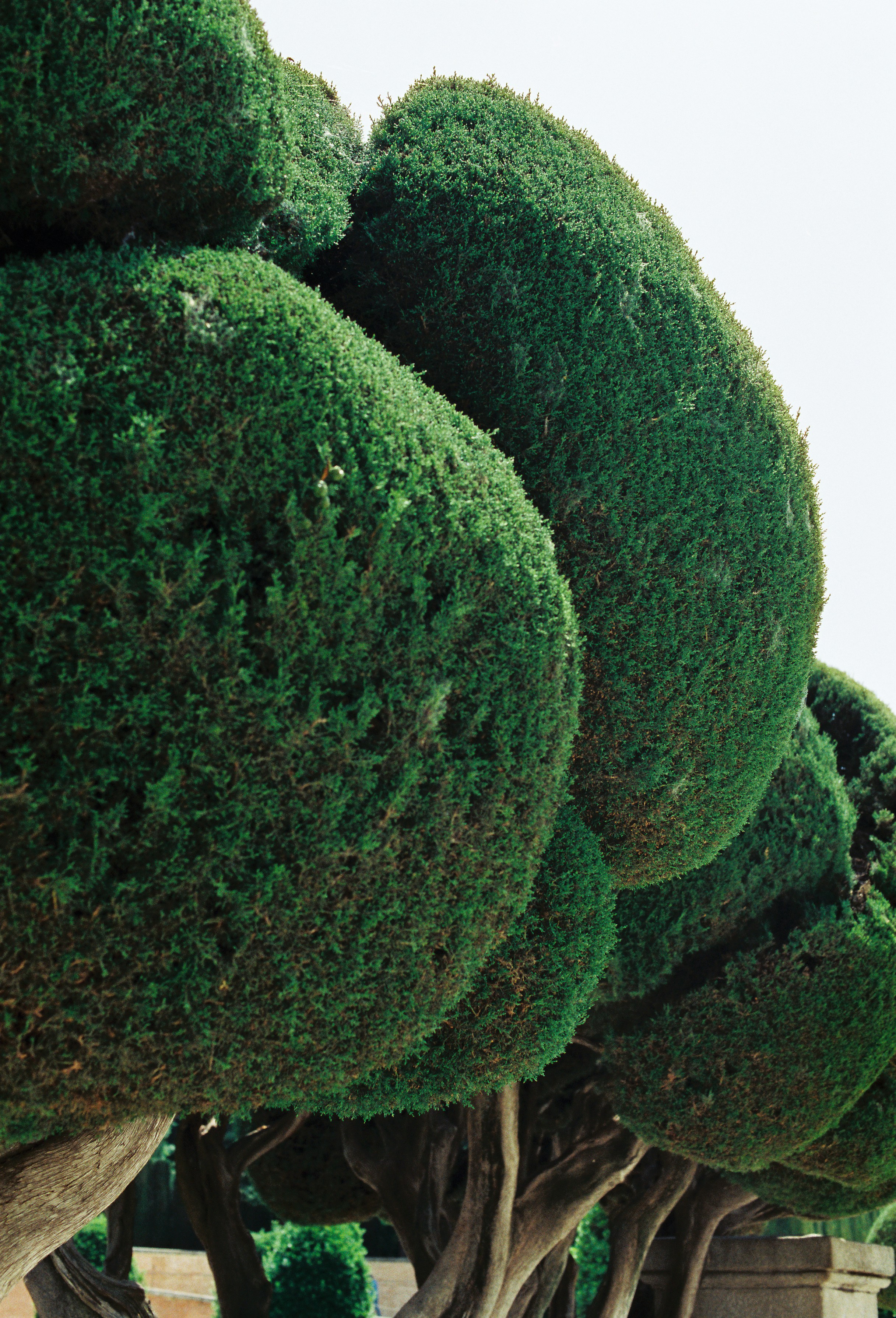 Beyond the Trough: The Science of Professional Gutter Systems