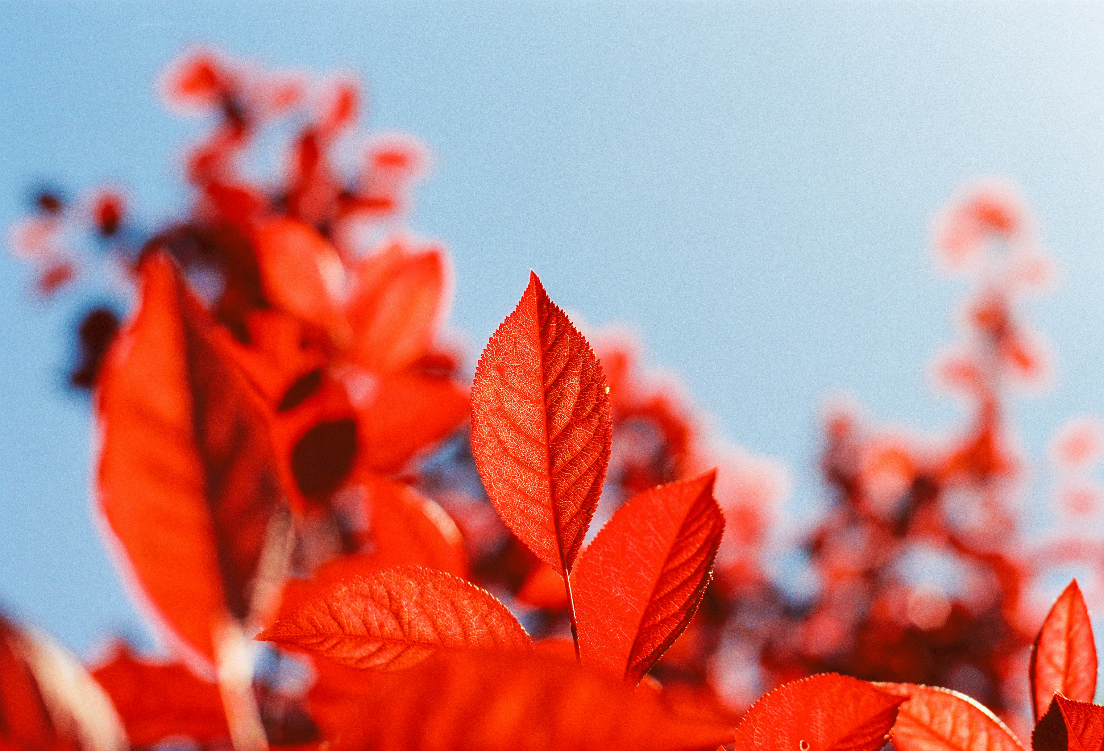 Photo by raphael_nicolas