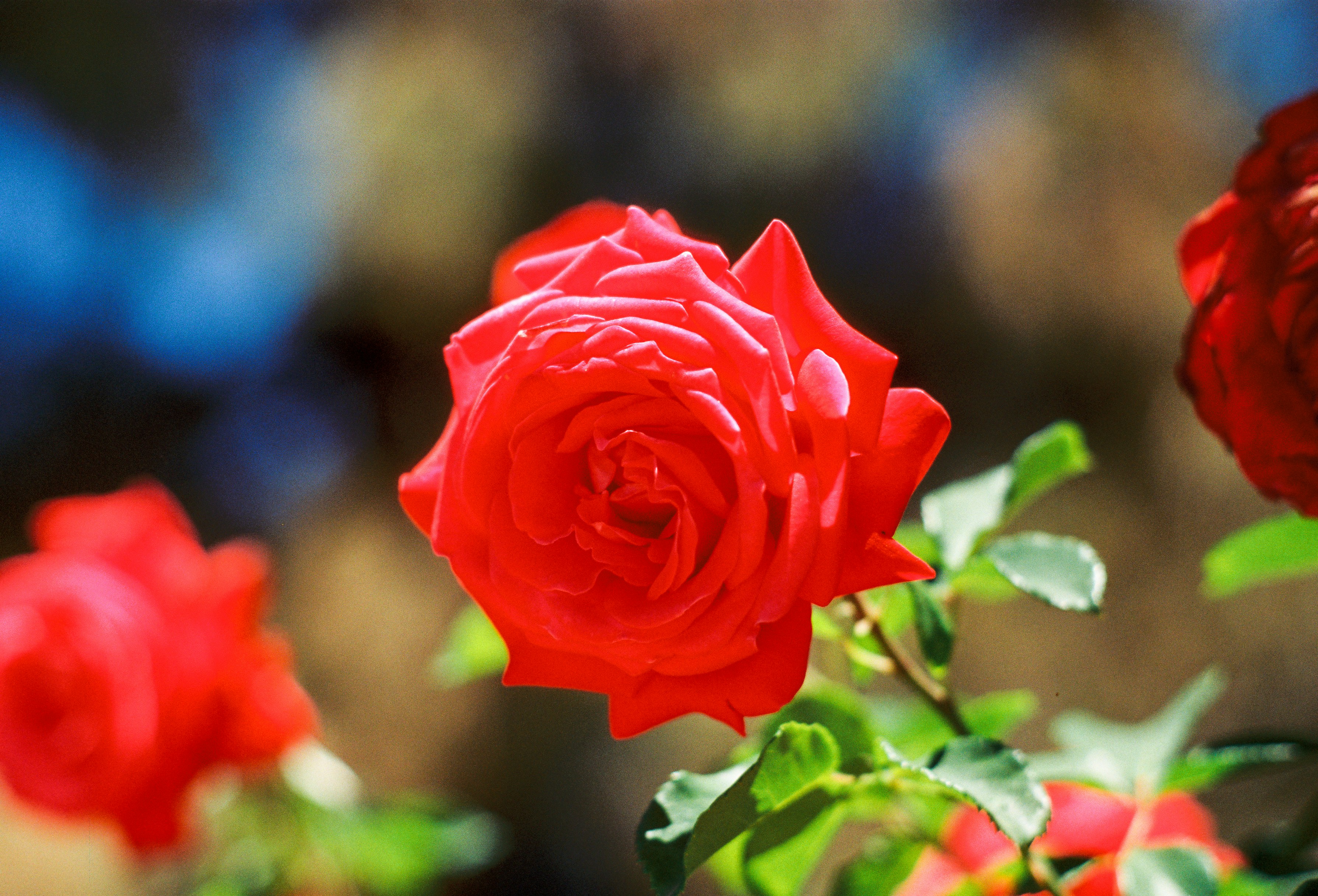 Photo by raphael_nicolas