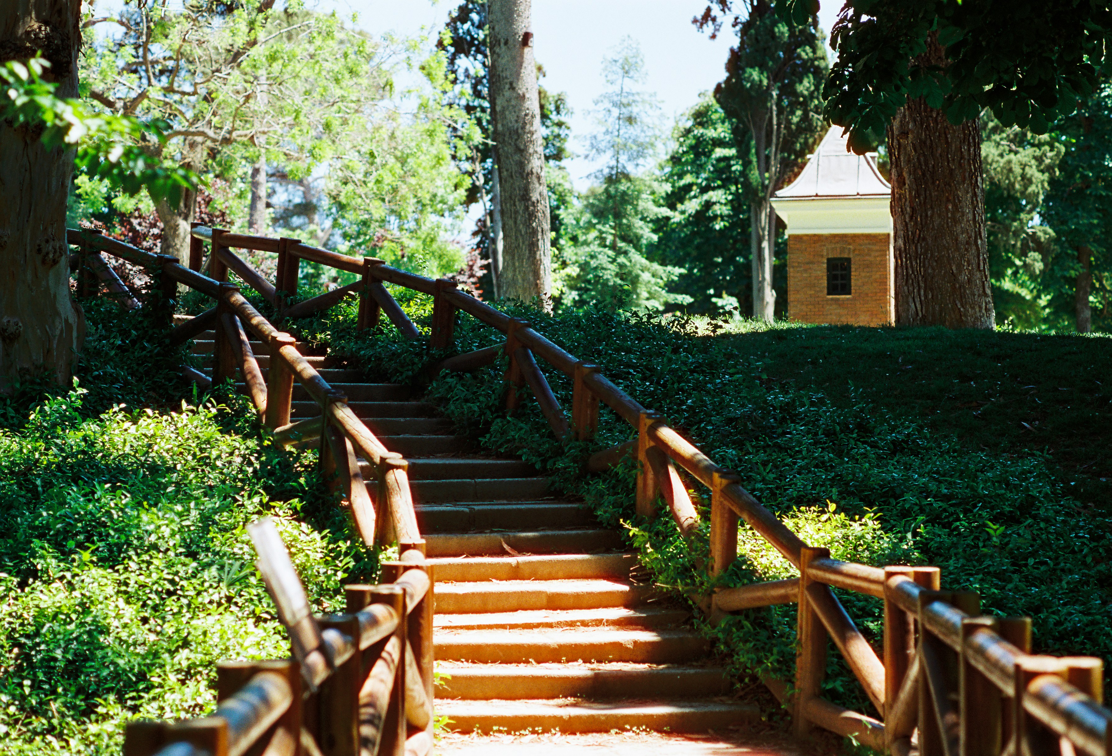 Hunter Park