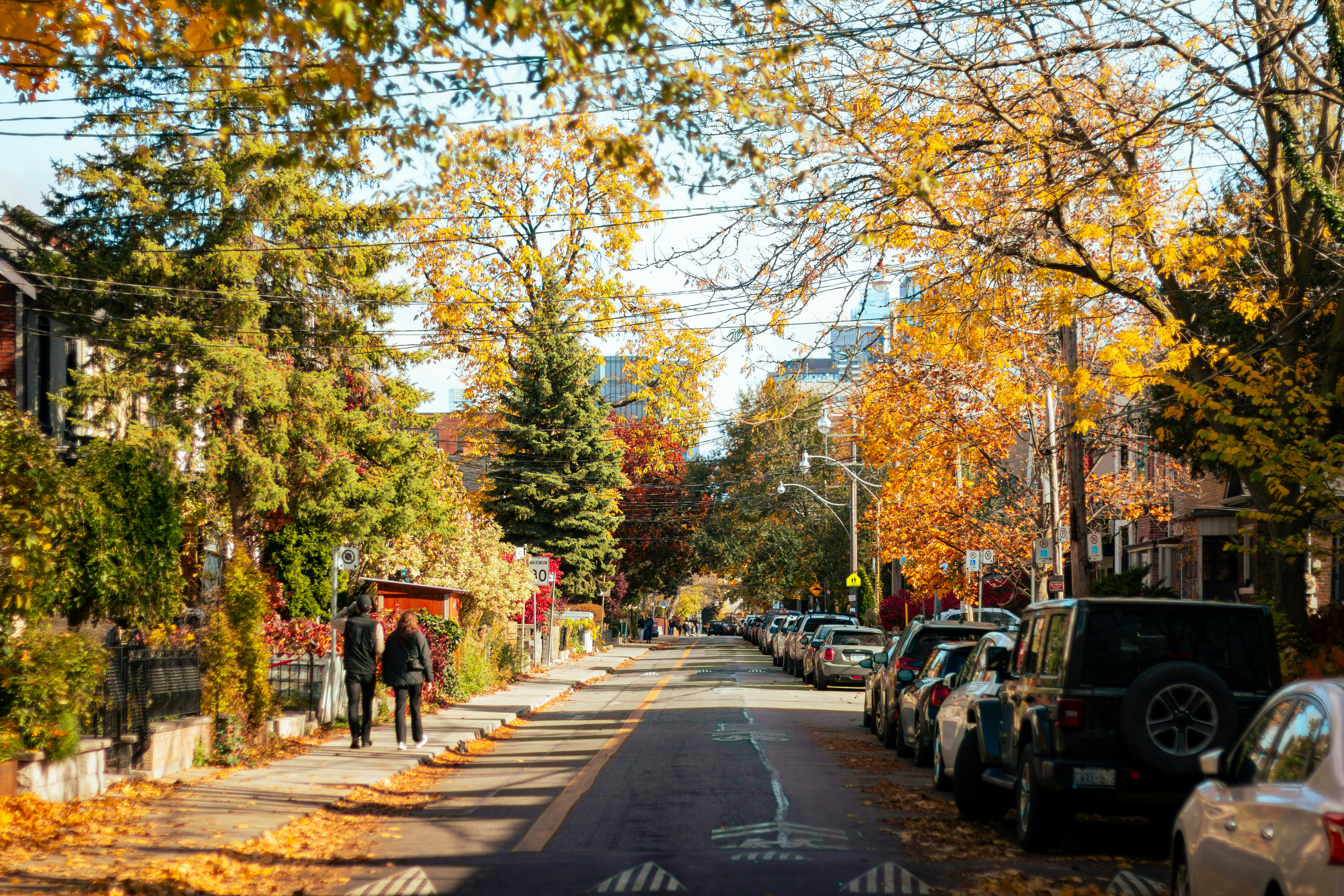 The Best Neighborhoods to Stay in for First-Time Visitors to [City] – Tree-lined street with parked cars and autumn leaves.