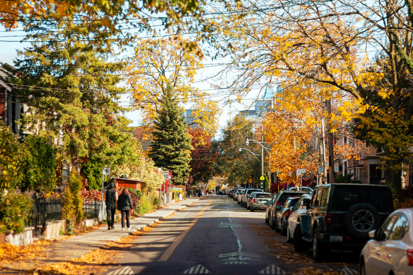 A quiet tree-lined Toronto residential street in autumn with parked cars and the city skyline rising in the distance