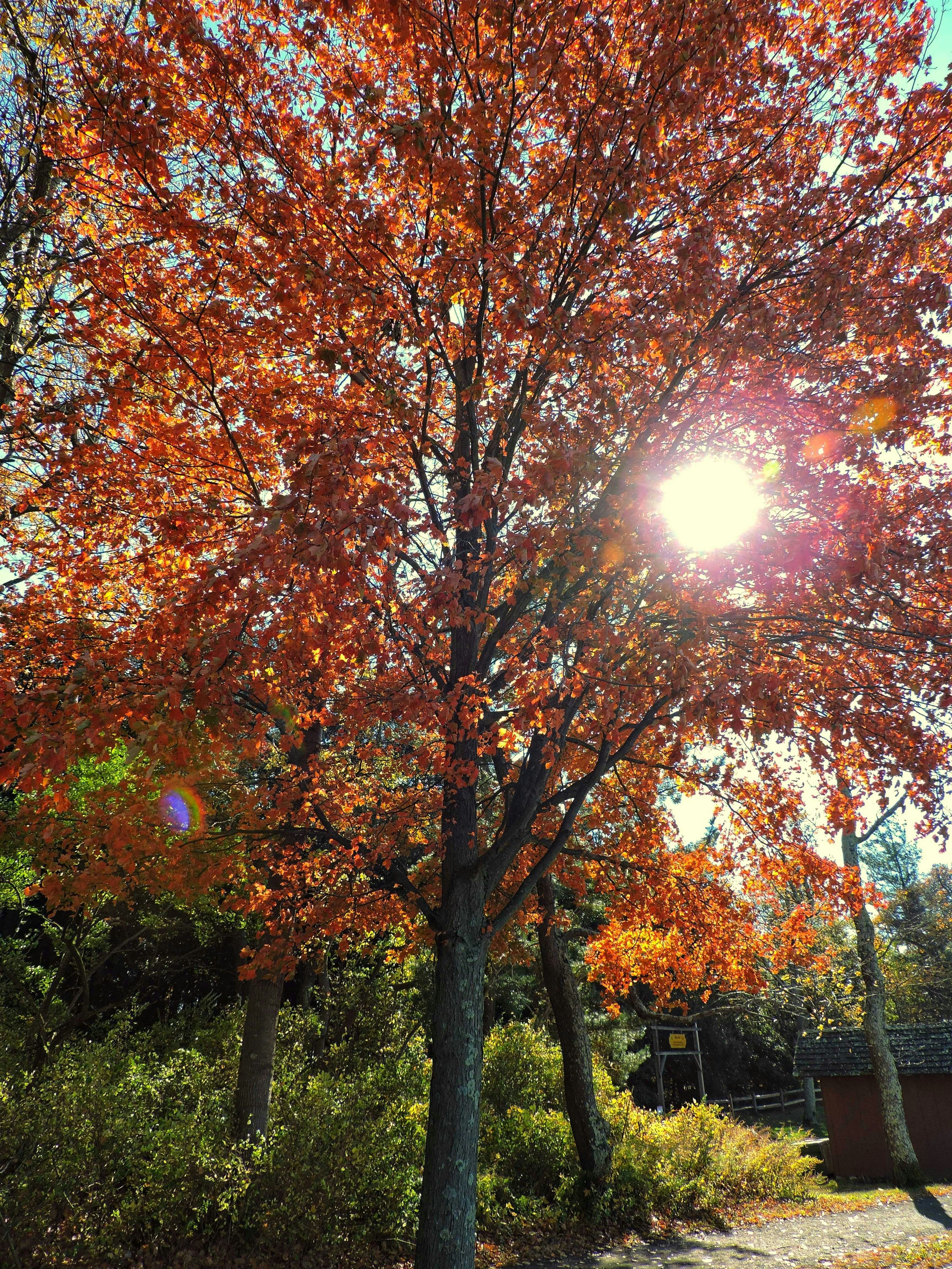 Photo by sebenrique12