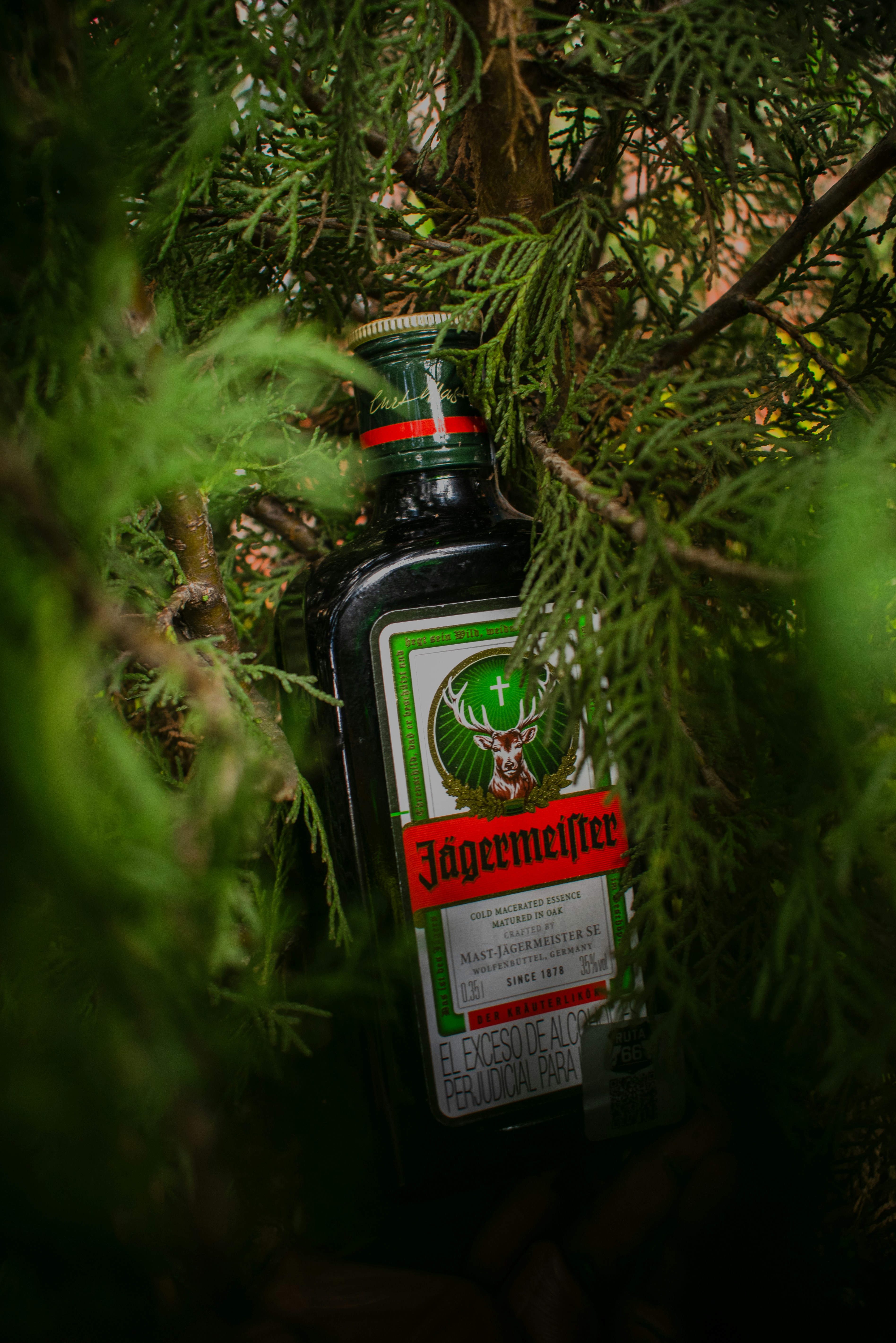 Bottiglia Jägermeister incastonata tra rami verdi