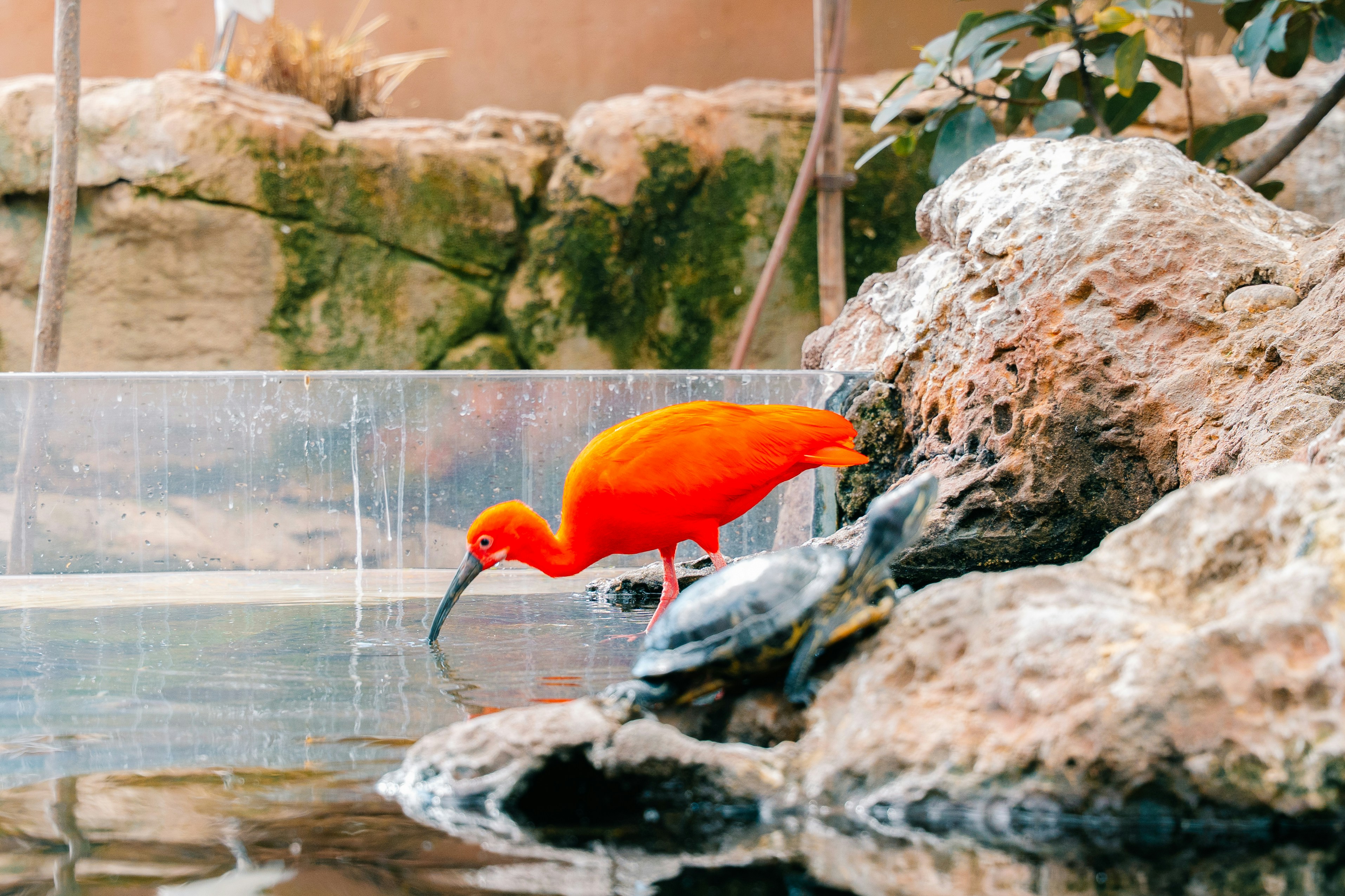 Photo by raphael_nicolas