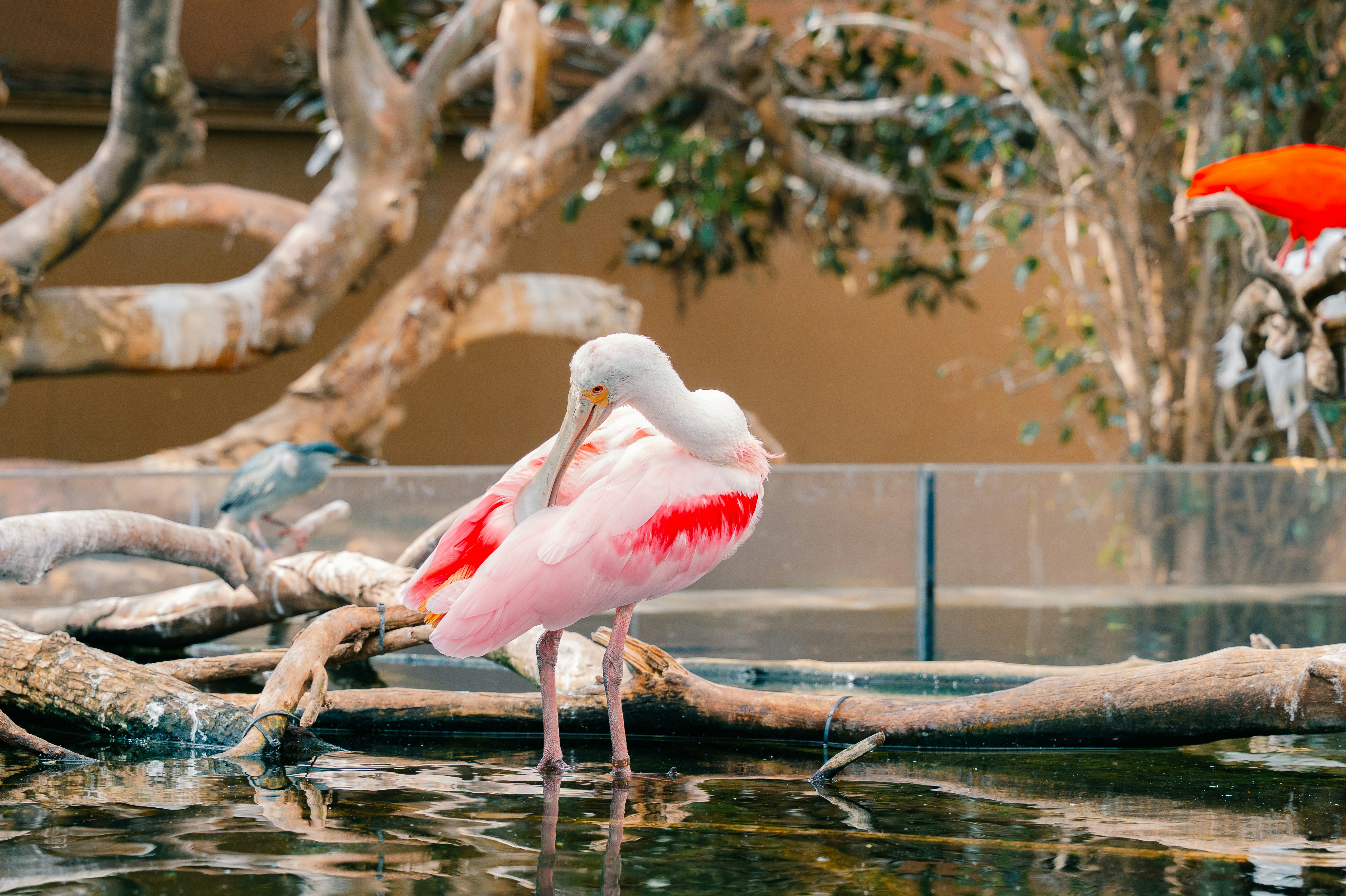 Photo by raphael_nicolas