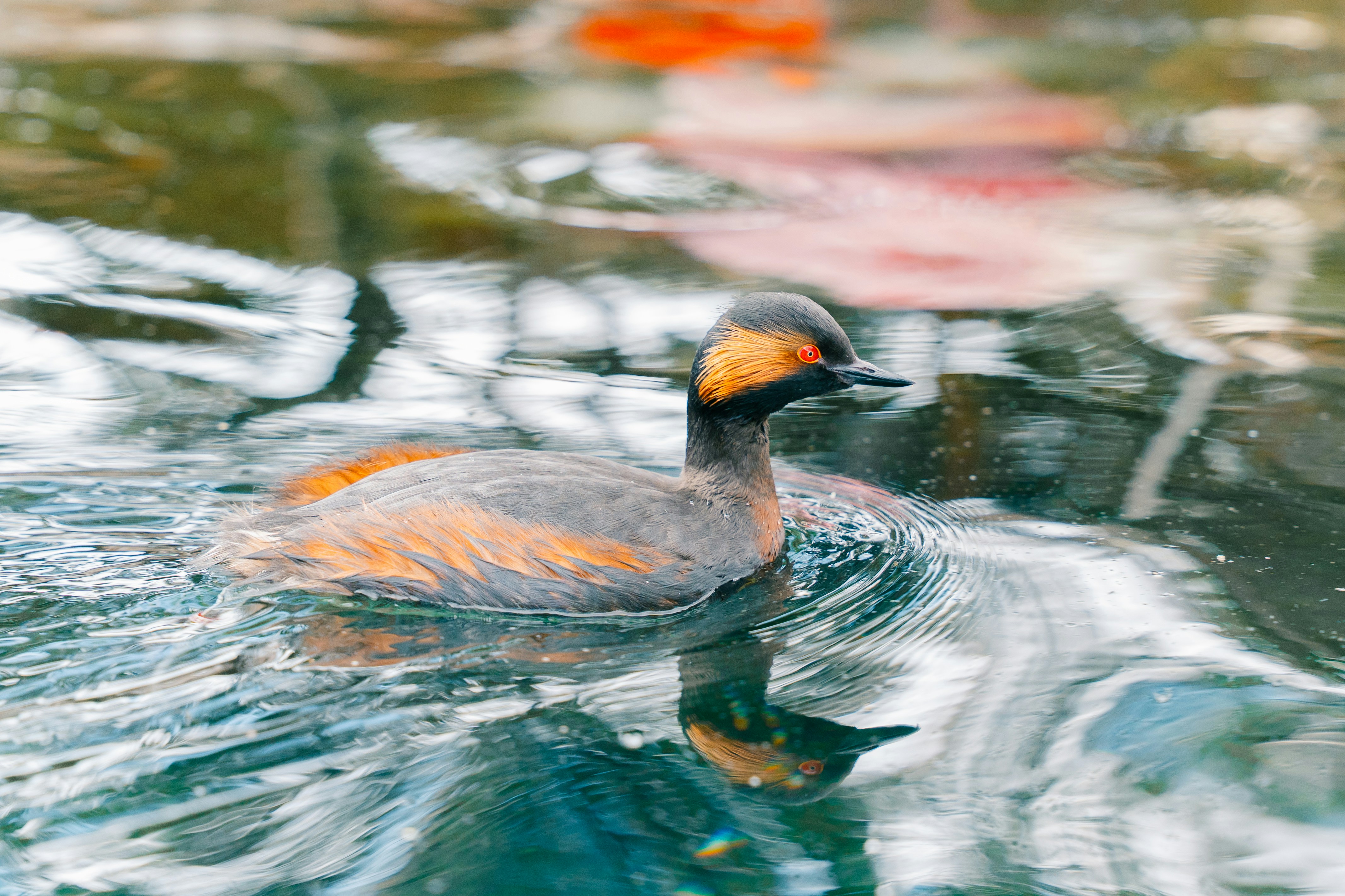 Photo by raphael_nicolas