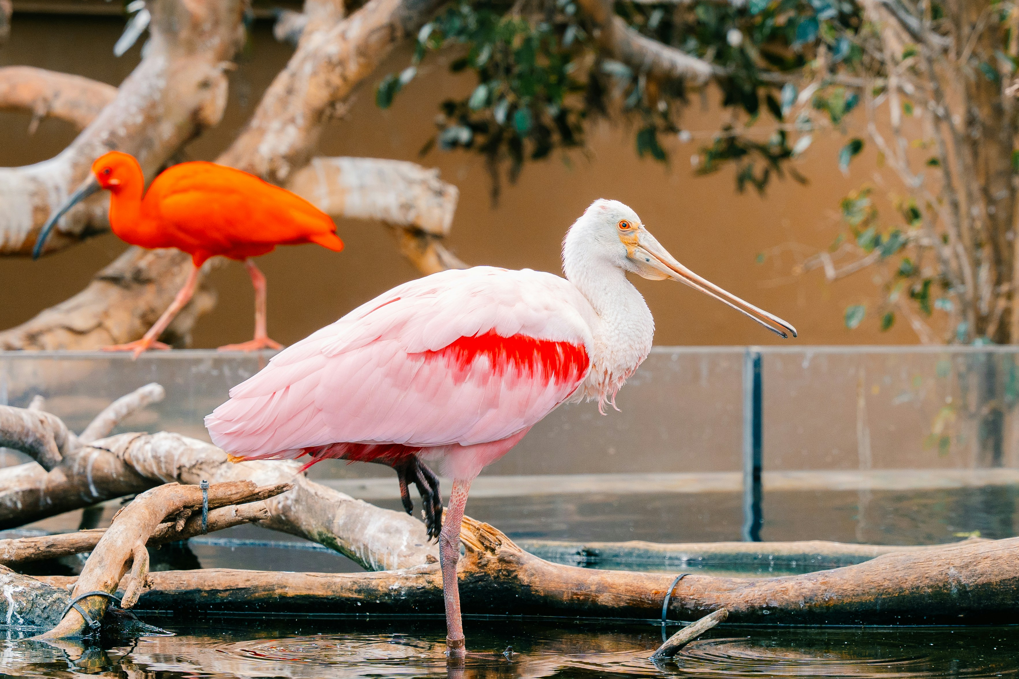 Photo by raphael_nicolas