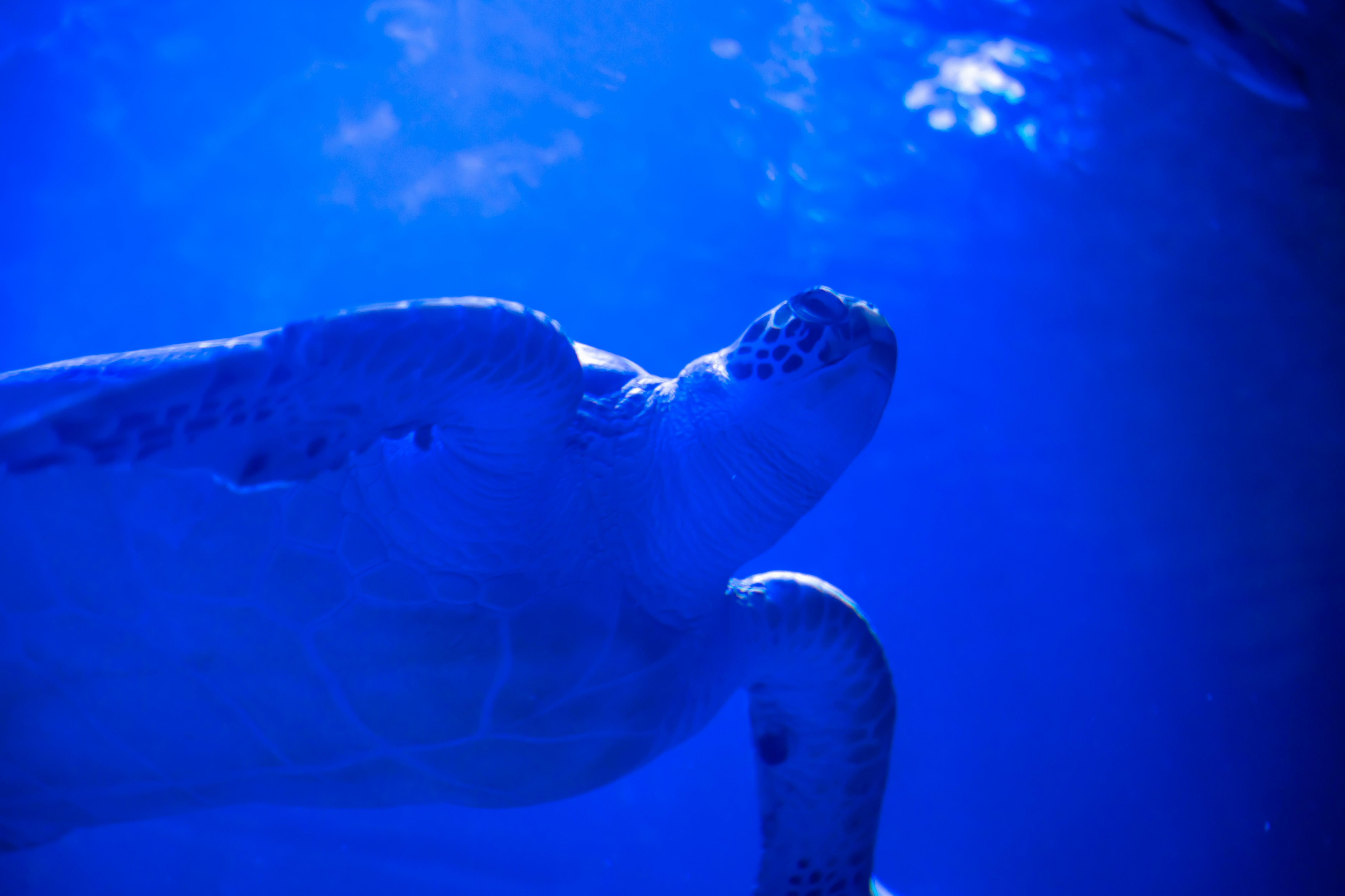 Photo by raphael_nicolas