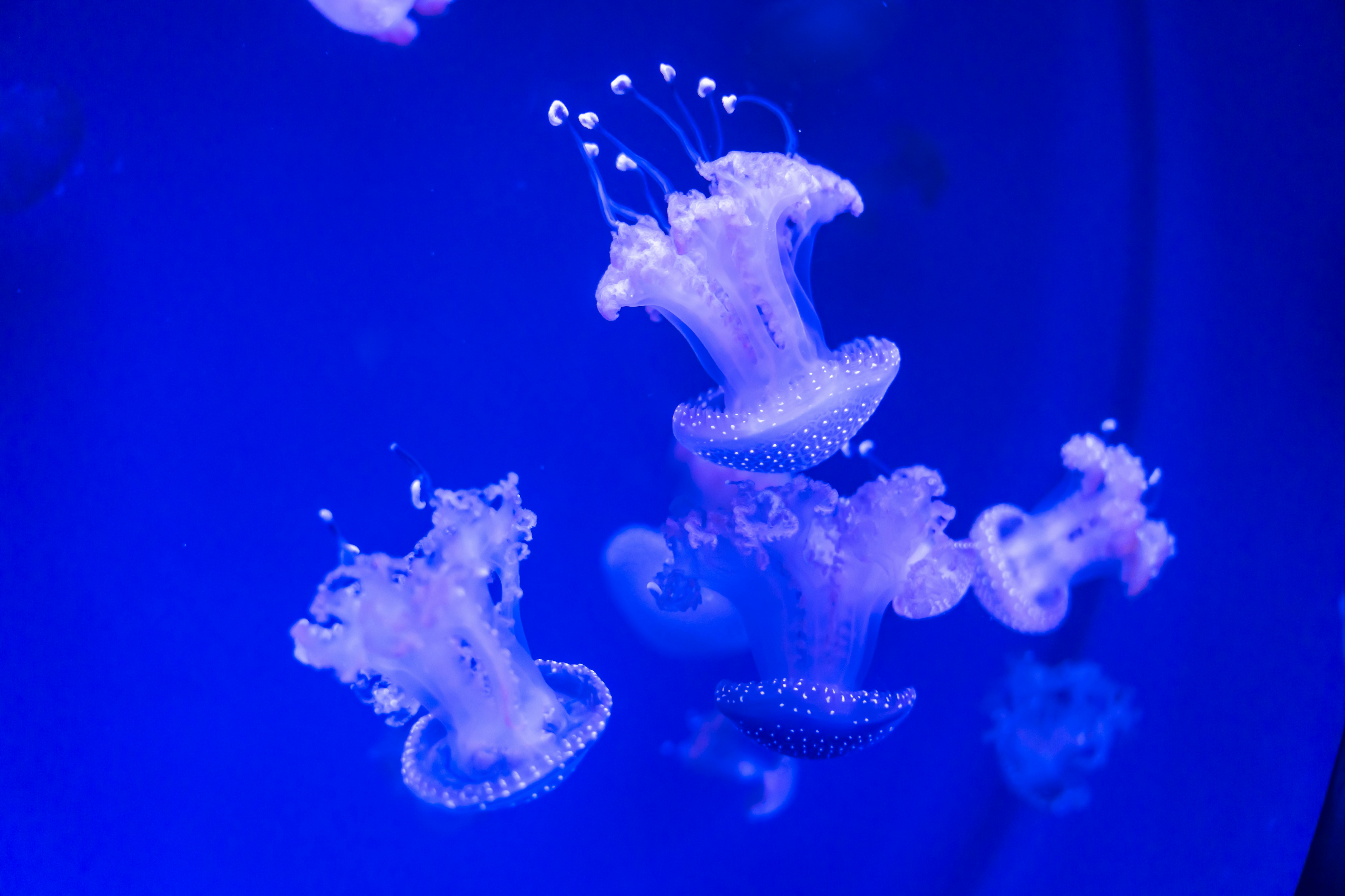 Photo by raphael_nicolas